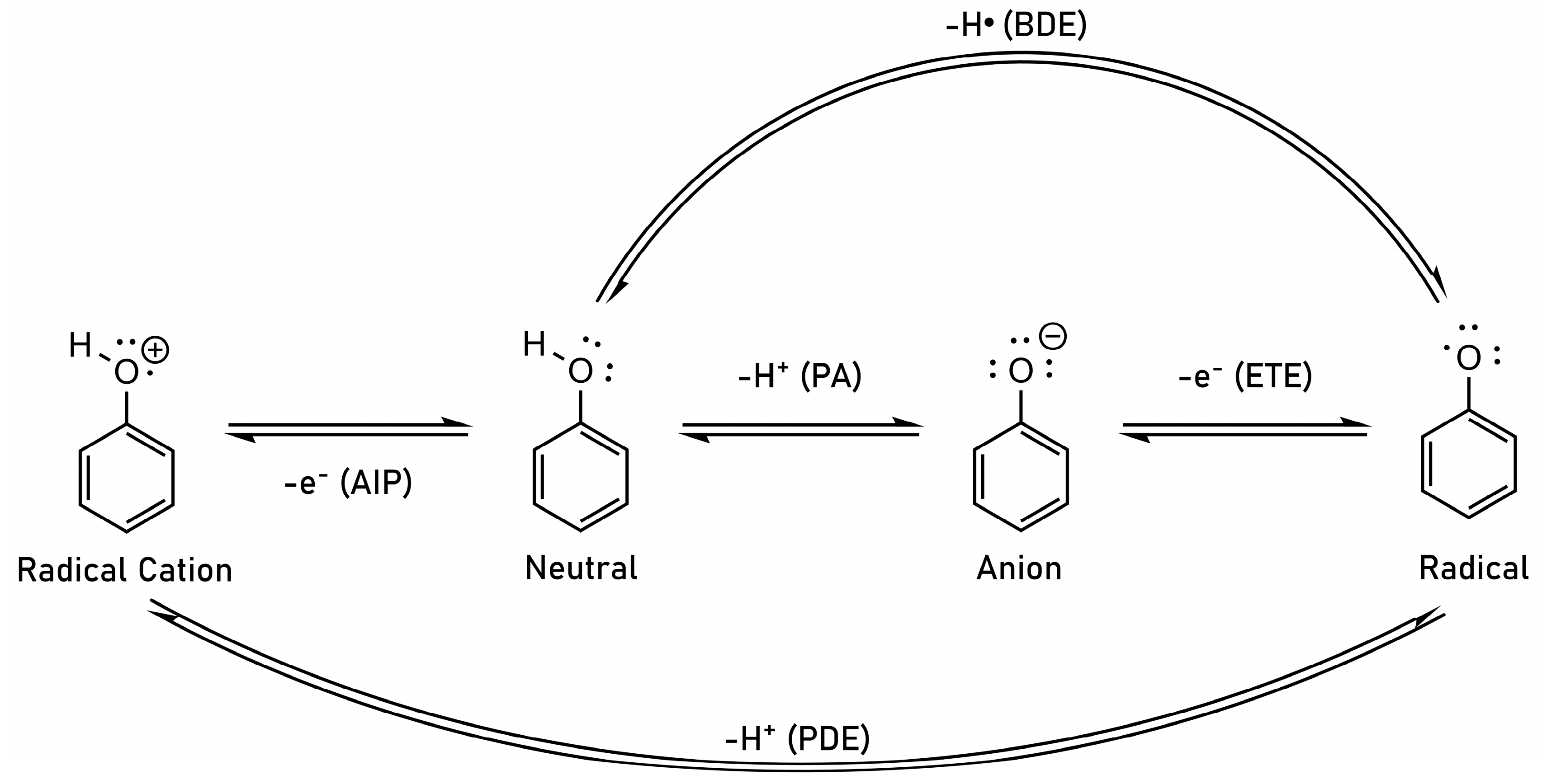 Antioxidants 12 00282 sch002 Antioxidants 12 00282 sch002