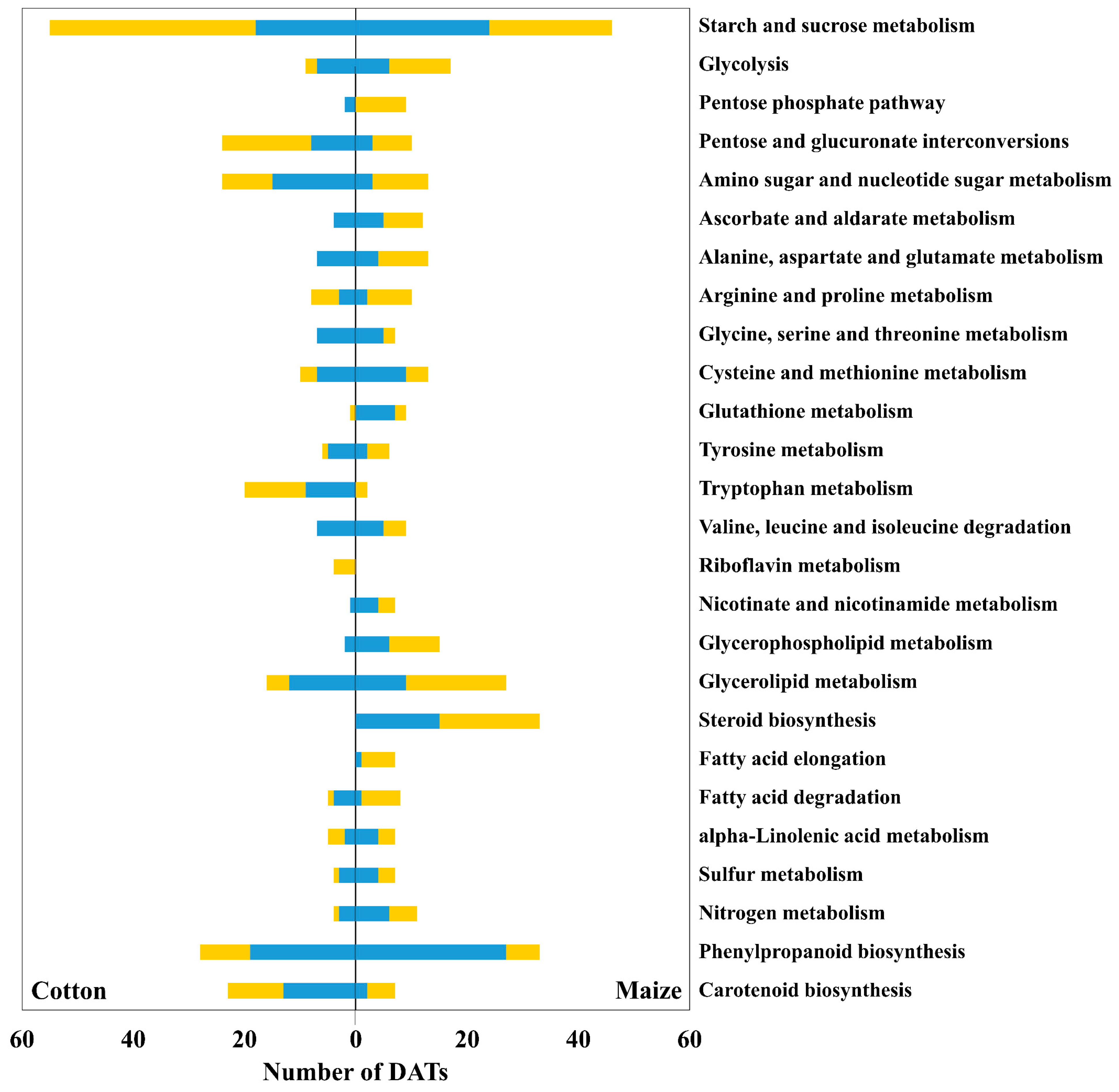 Antioxidants 12 00287 g003