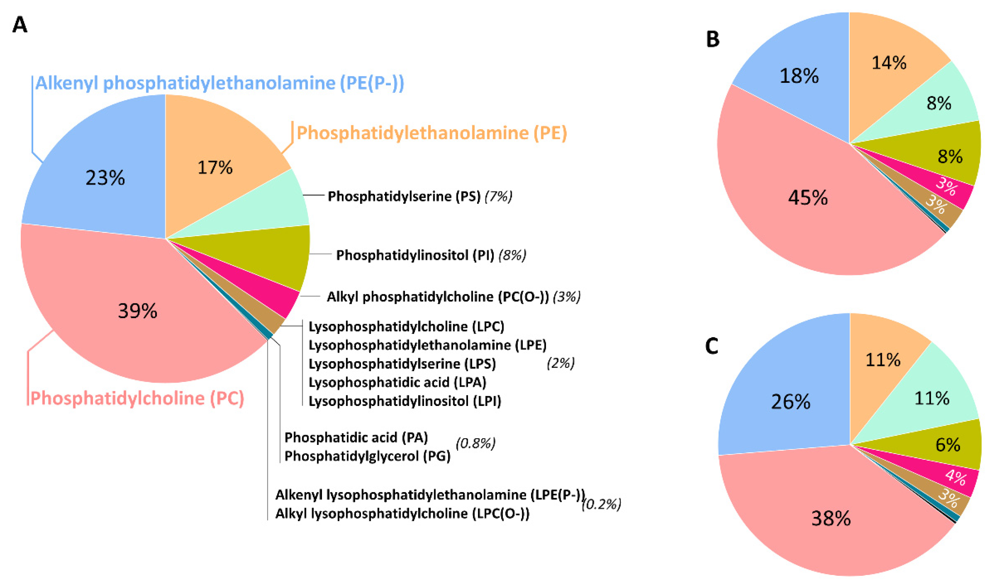 Antioxidants 12 00293 g001 Antioxidants 12 00293 g001