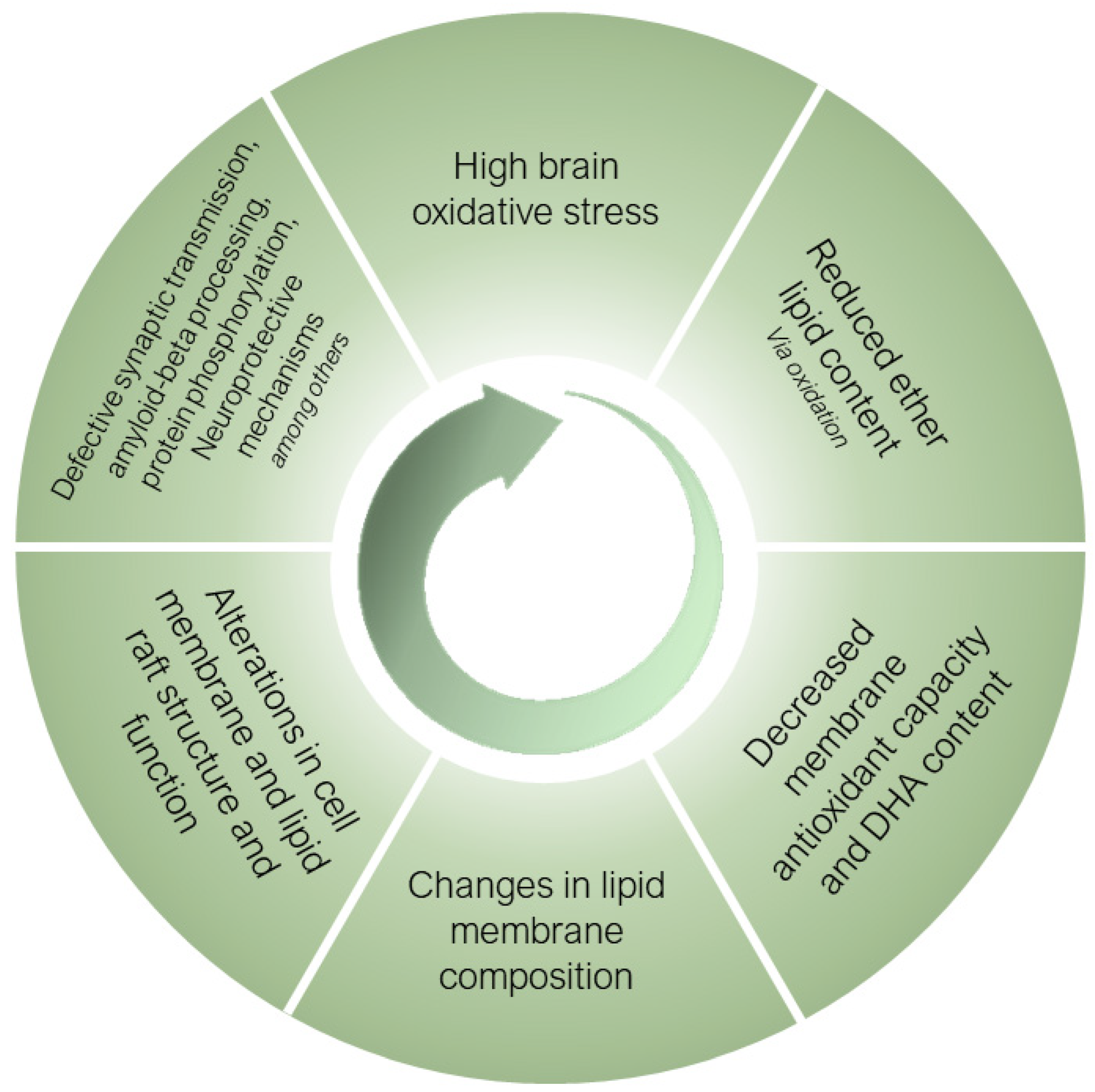 Antioxidants 12 00293 g003 Antioxidants 12 00293 g003