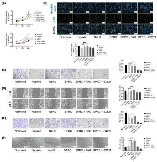Antioxidants Free FullText SPropargylCysteine Ameliorates