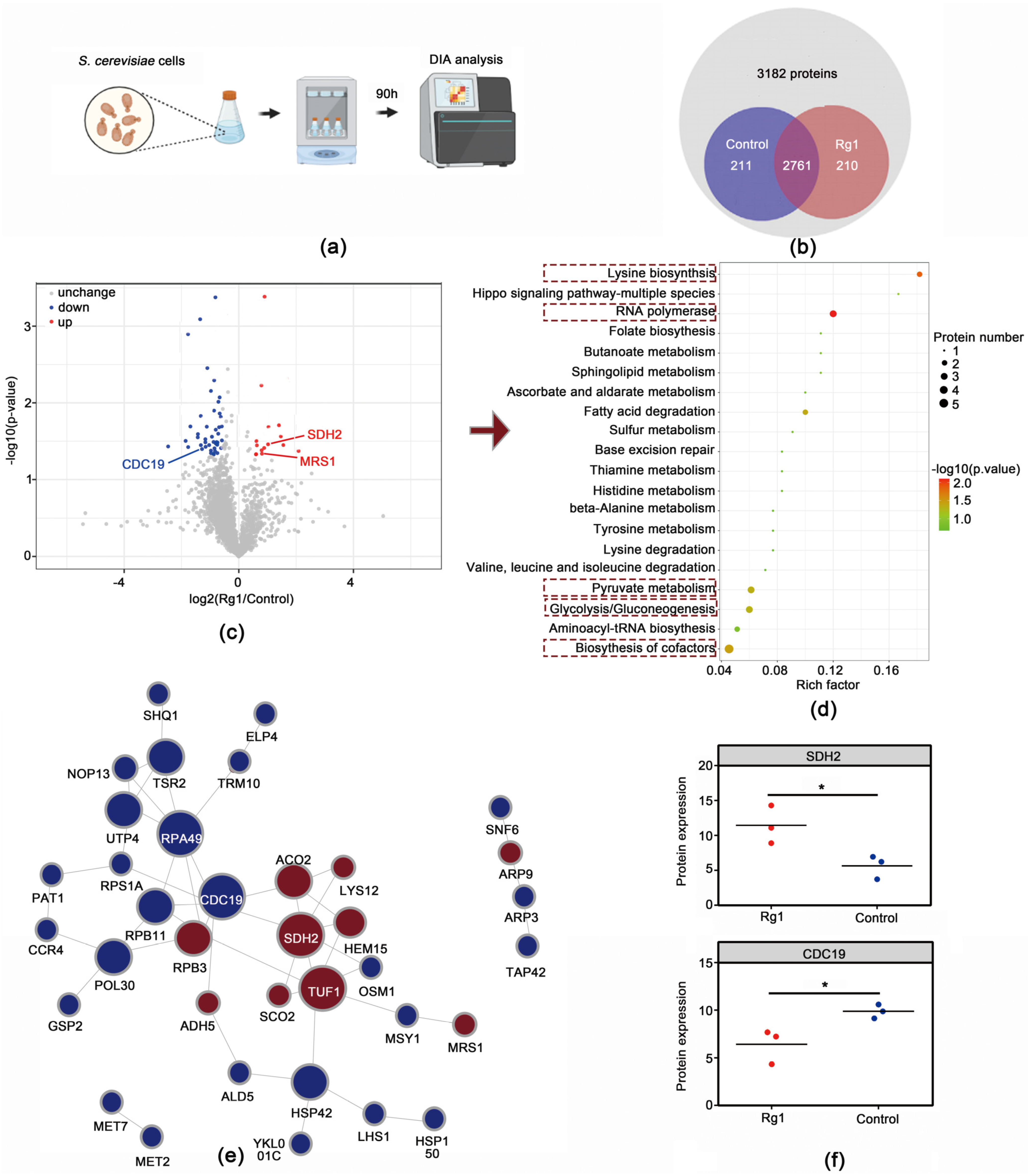 Antioxidants 12 00296 g006