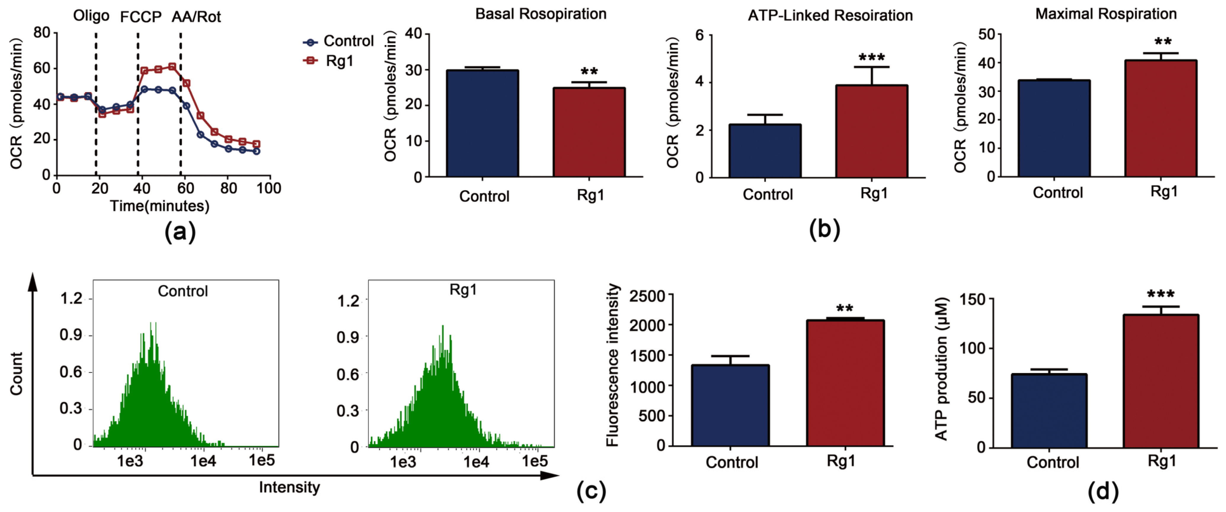 Antioxidants 12 00296 g008