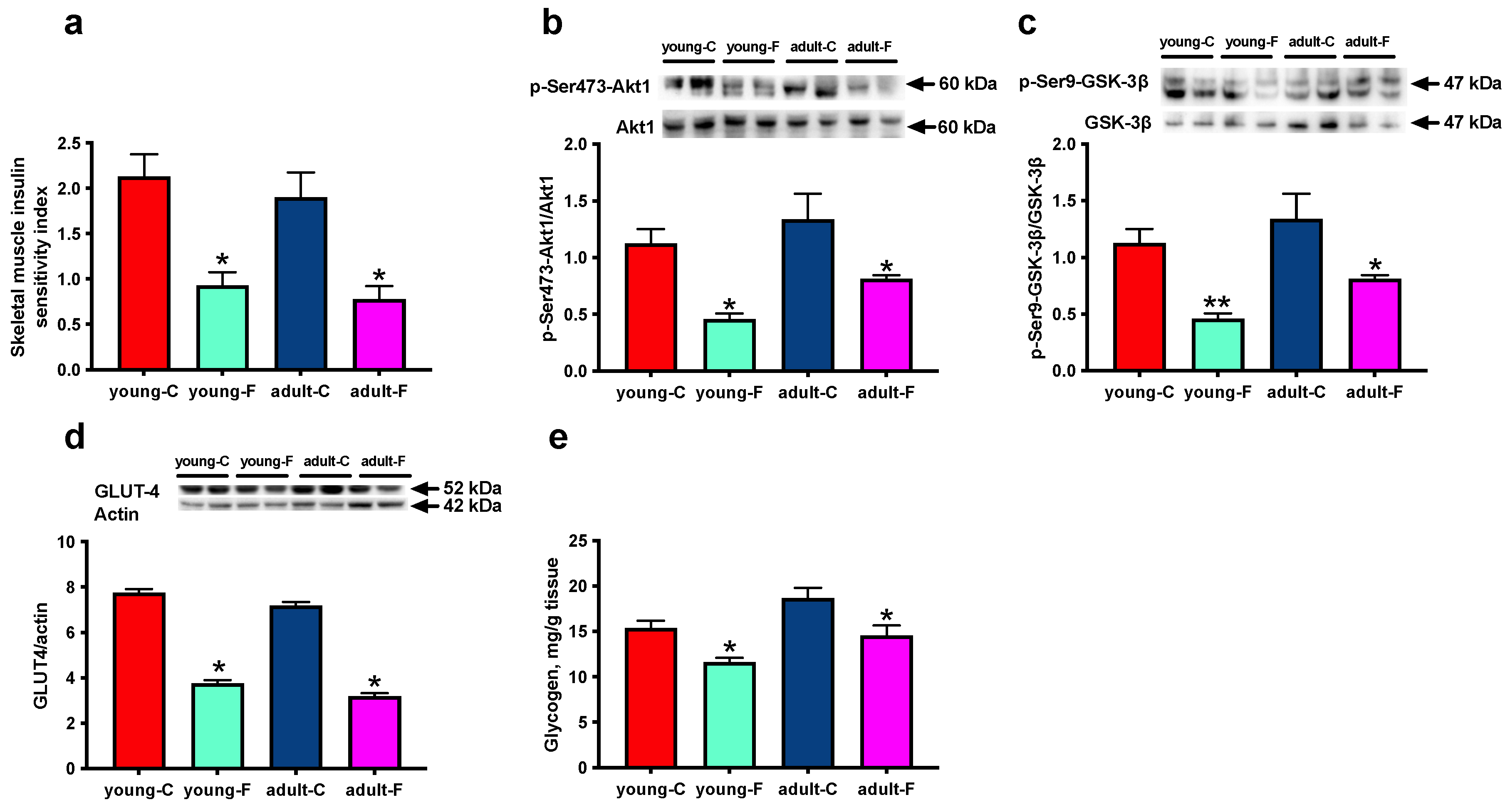 Antioxidants 12 00299 g001 Antioxidants 12 00299 g001