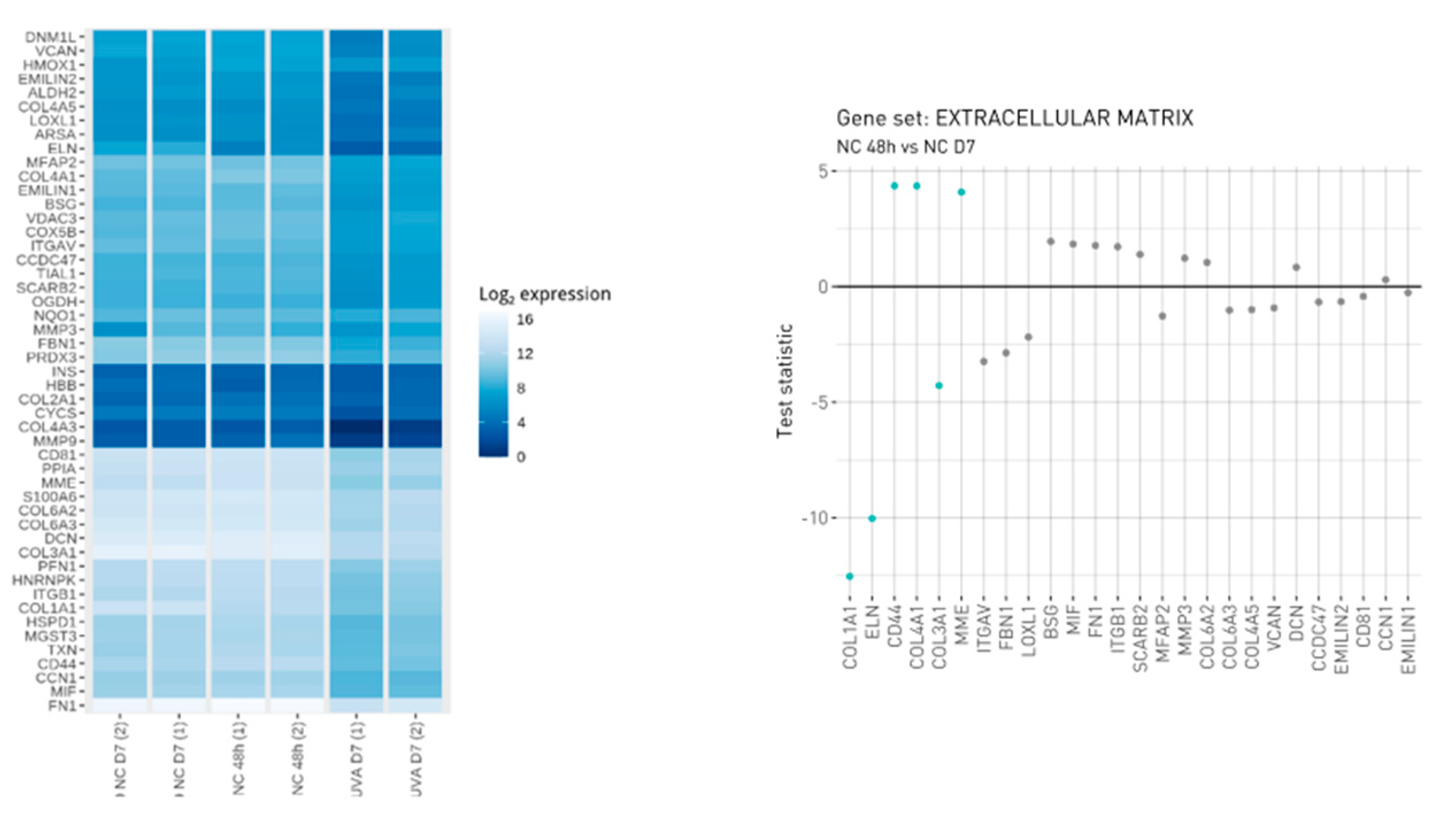 Antioxidants 12 00300 g001 Antioxidants 12 00300 g001