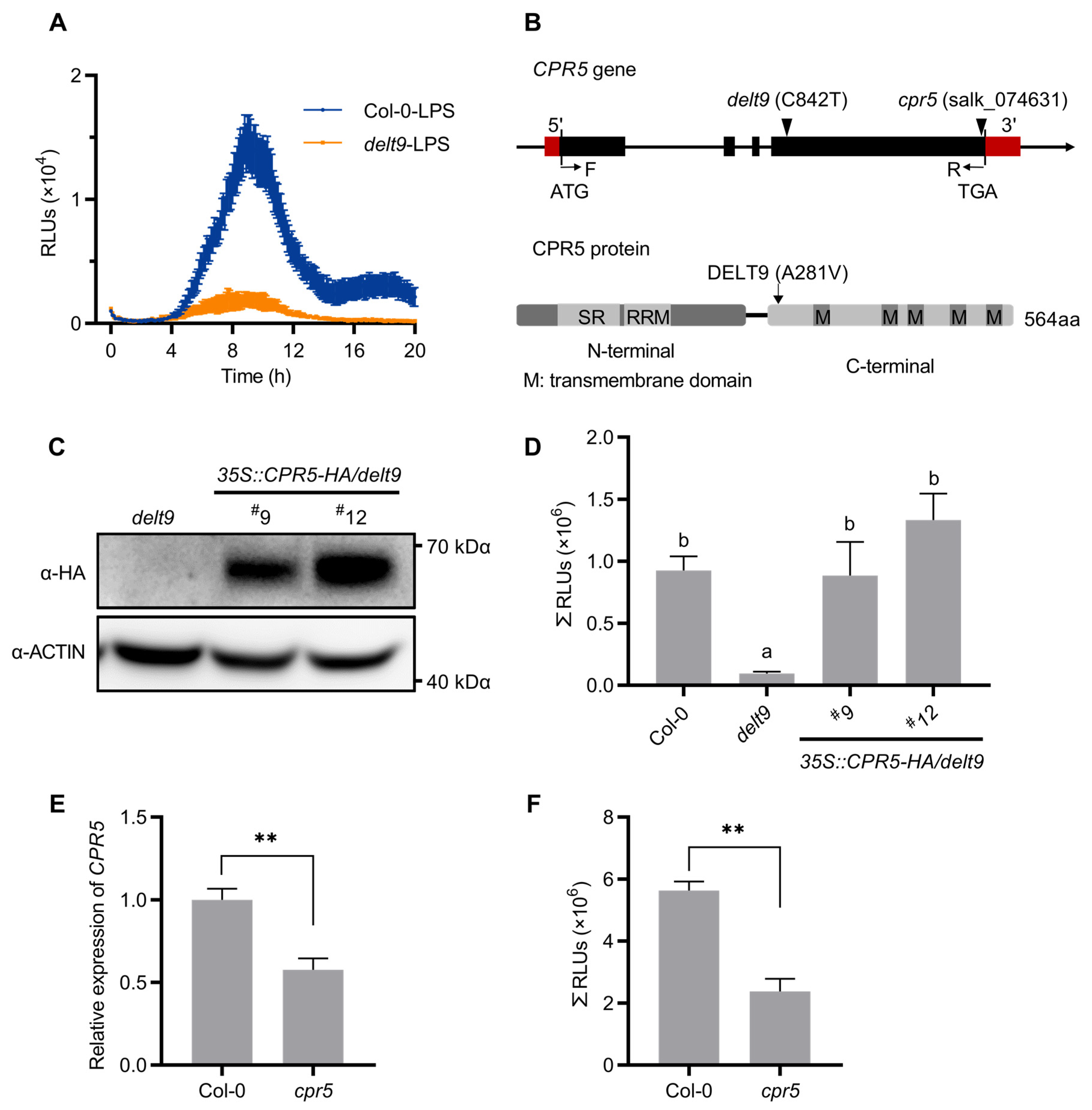 Antioxidants 12 00301 g001 Antioxidants 12 00301 g001