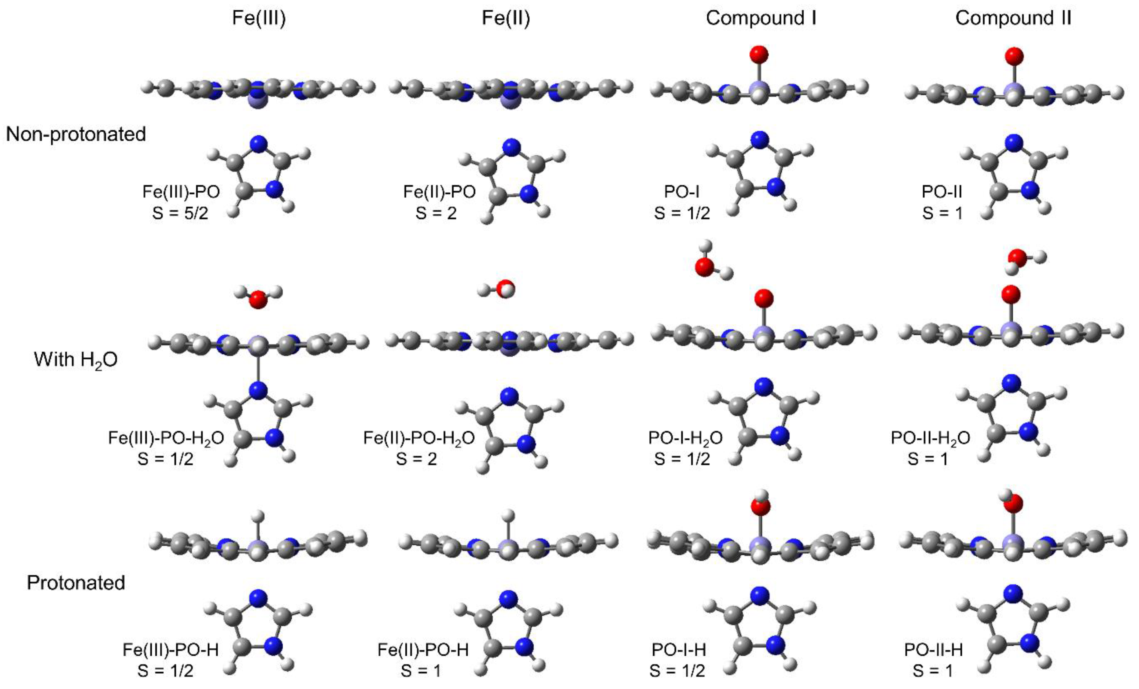 Antioxidants 12 00303 g003