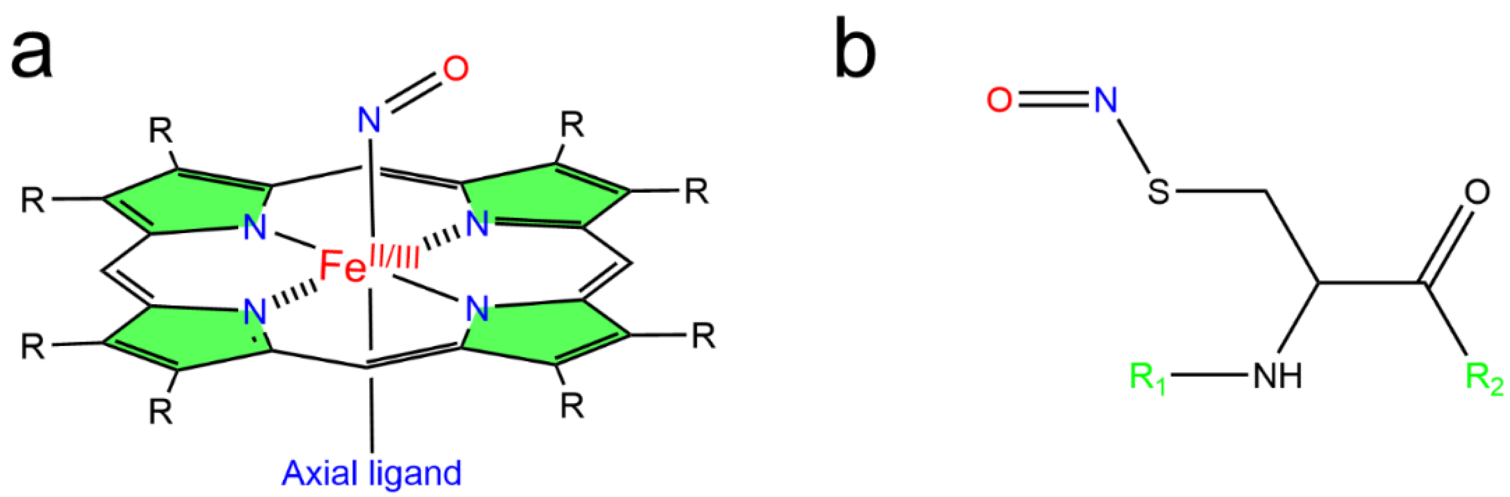 Antioxidants 12 00321 g002