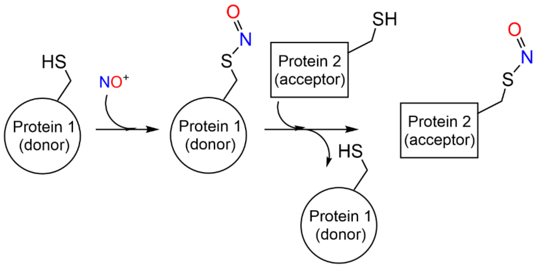 Antioxidants 12 00321 sch002 550