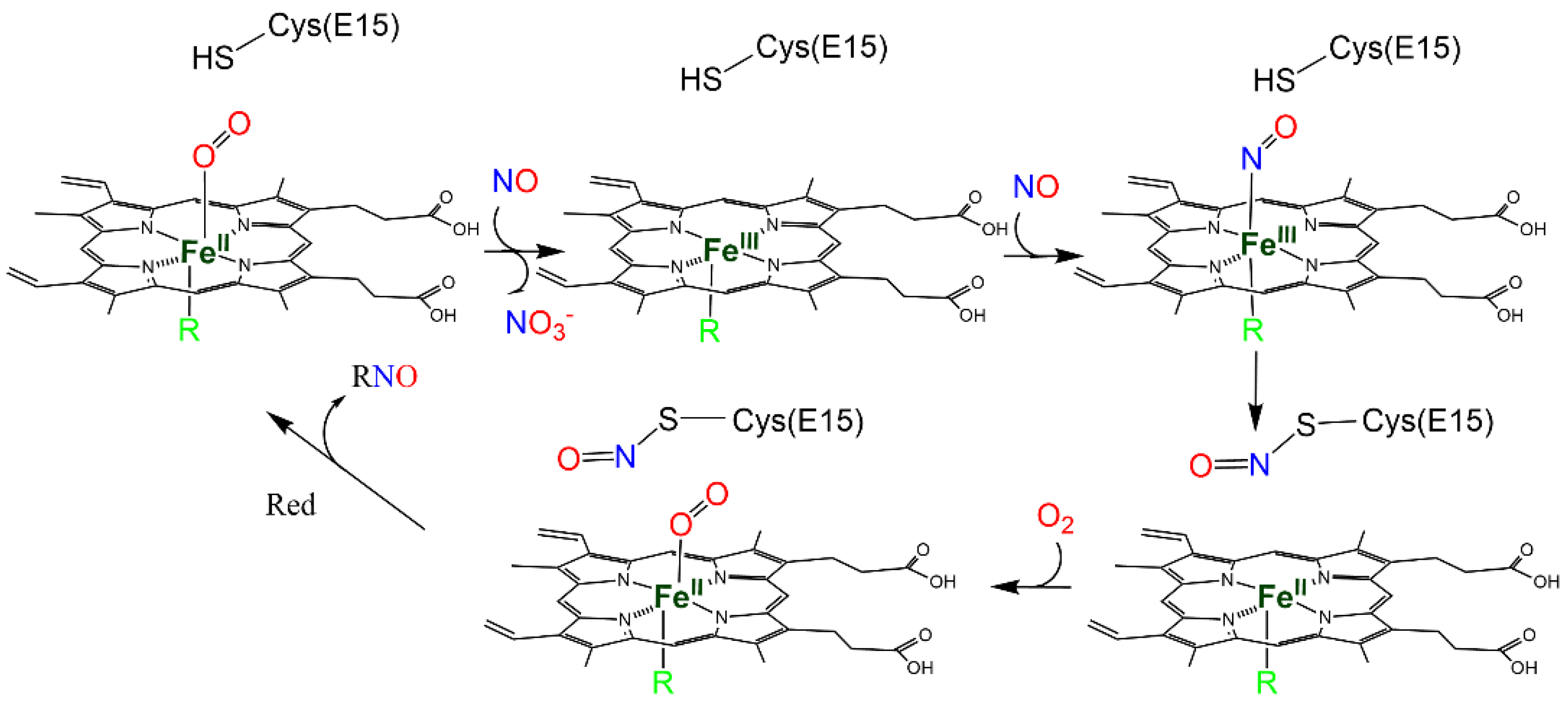 Antioxidants 12 00321 sch005