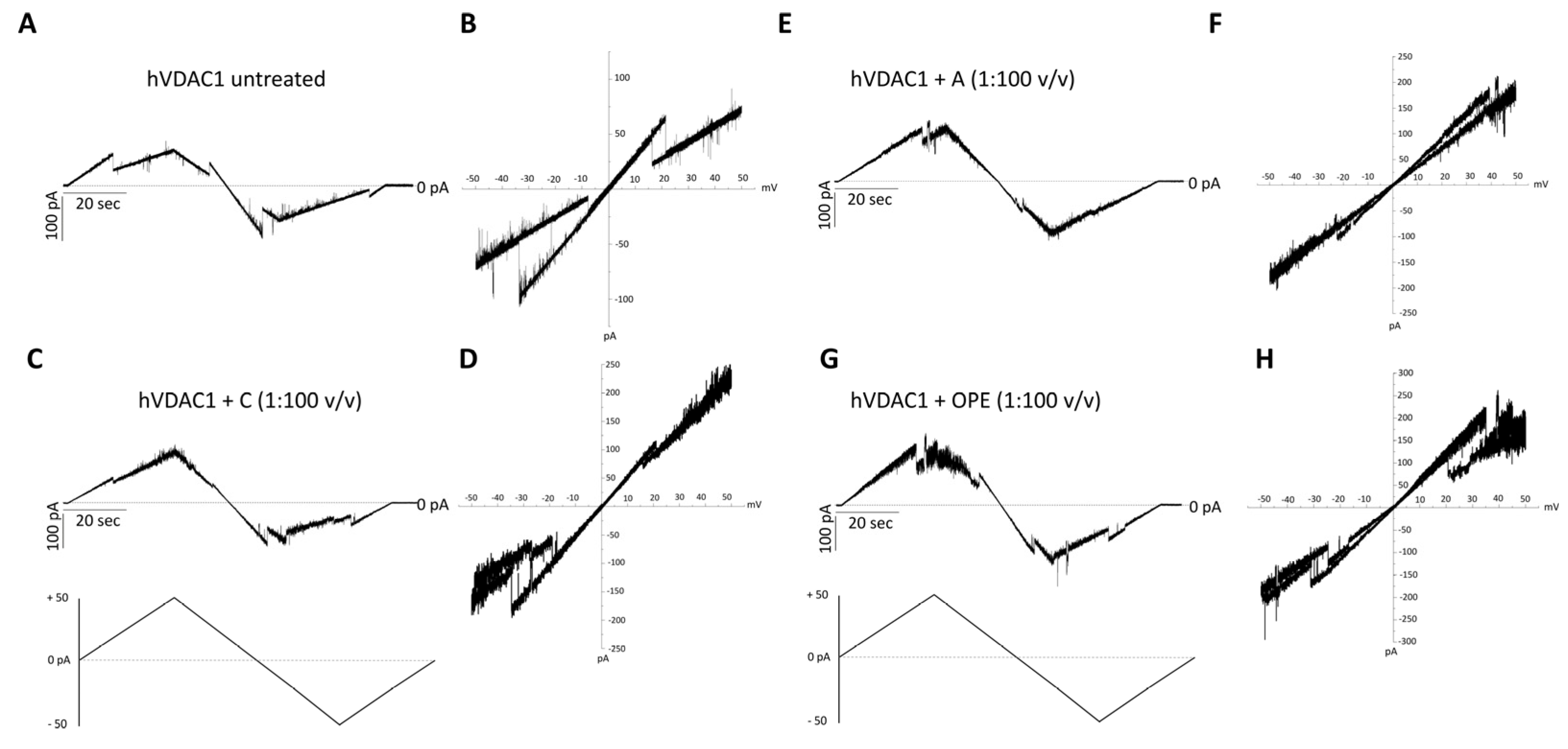 Antioxidants 12 00322 g002