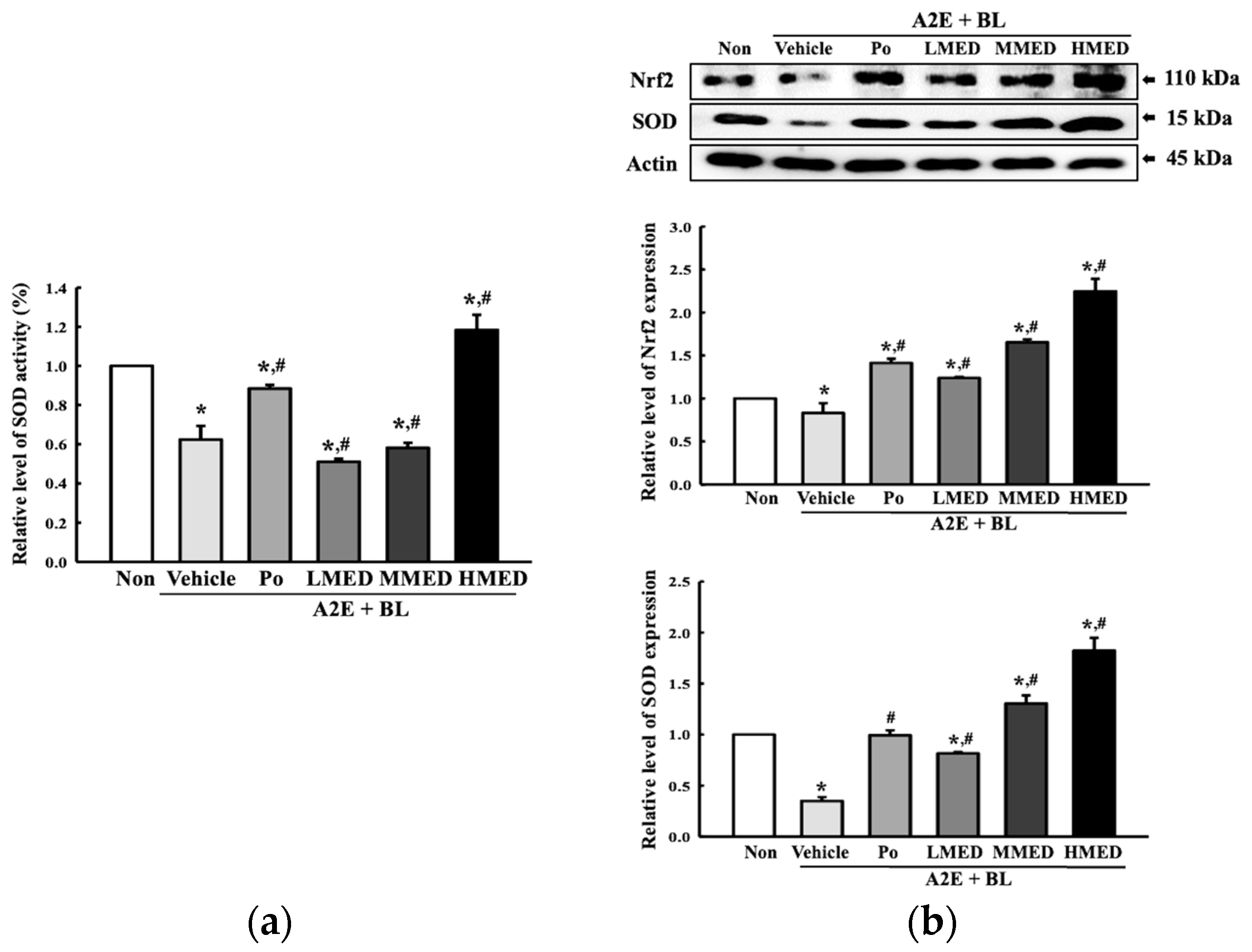 Antioxidants 12 00329 g003