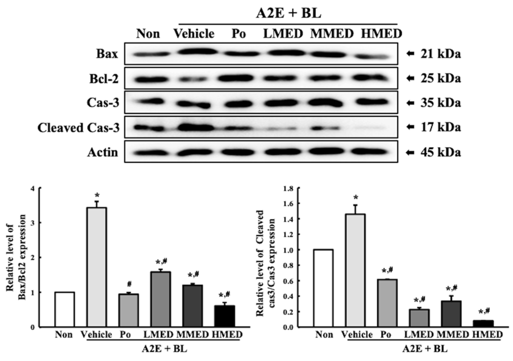 Antioxidants 12 00329 g006