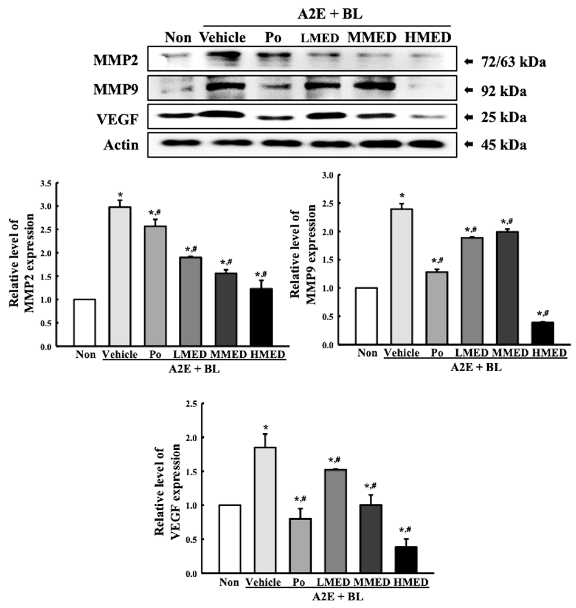 Antioxidants 12 00329 g007