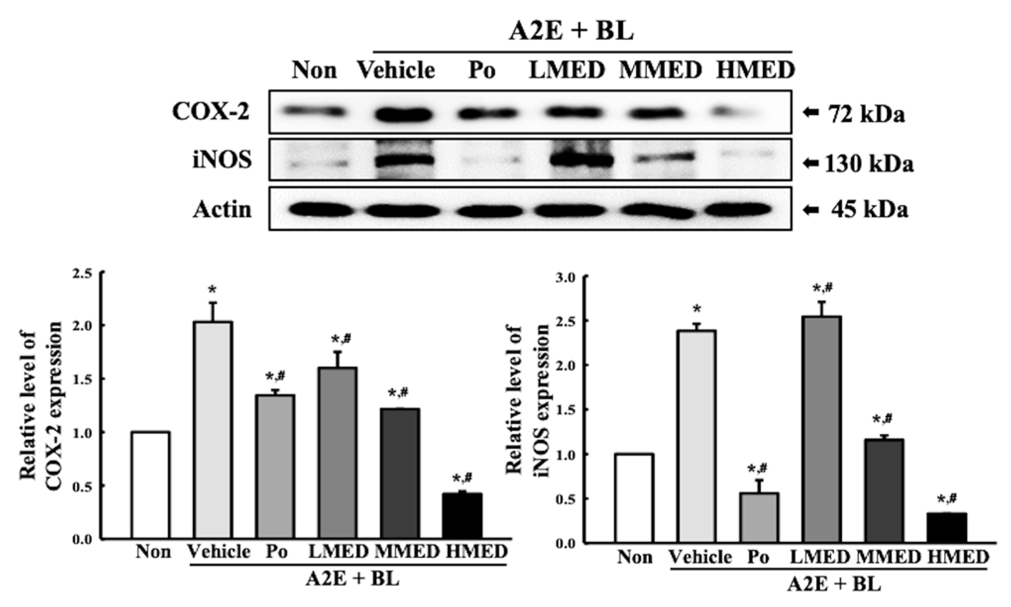 Antioxidants 12 00329 g008