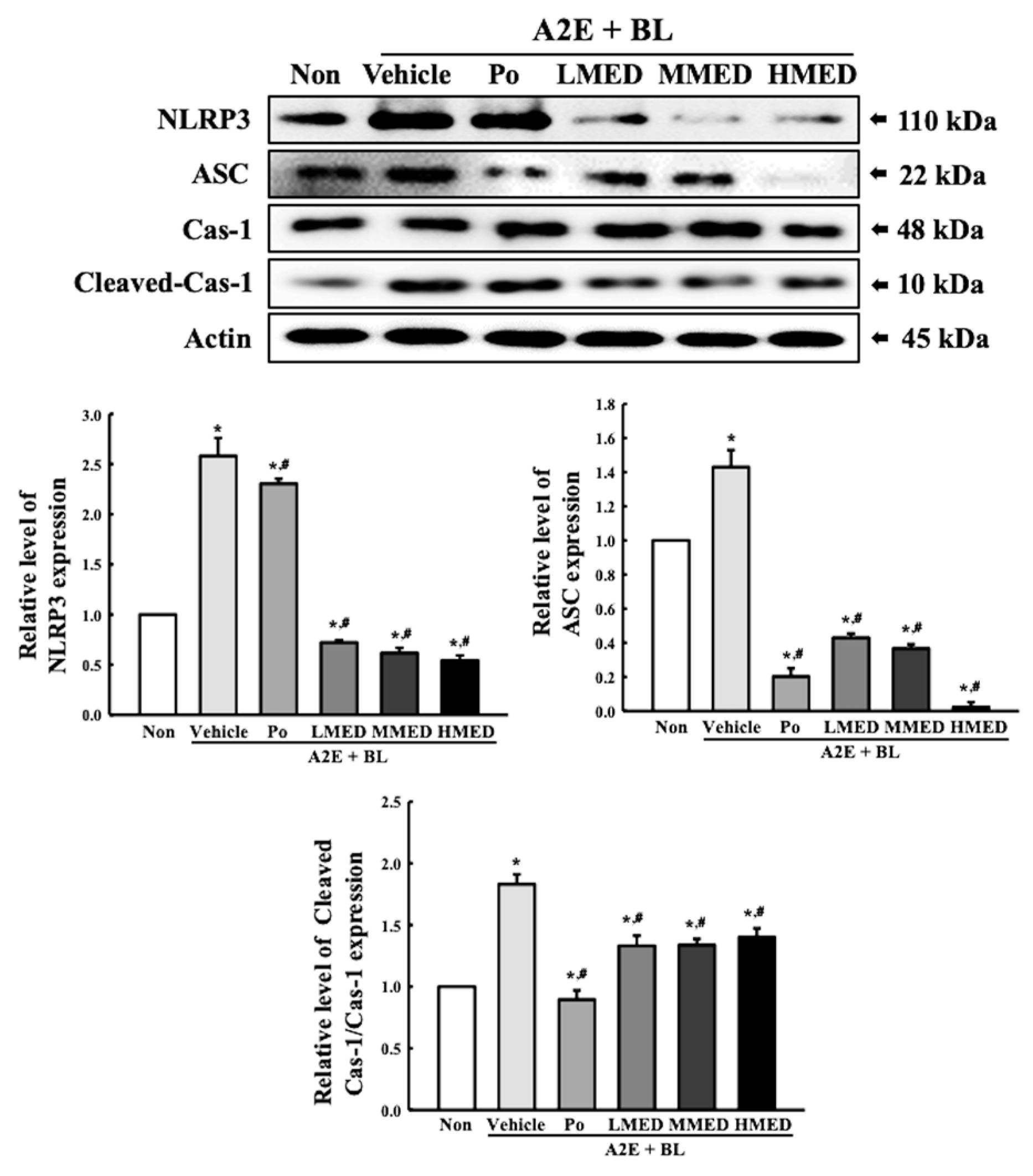 Antioxidants 12 00329 g009