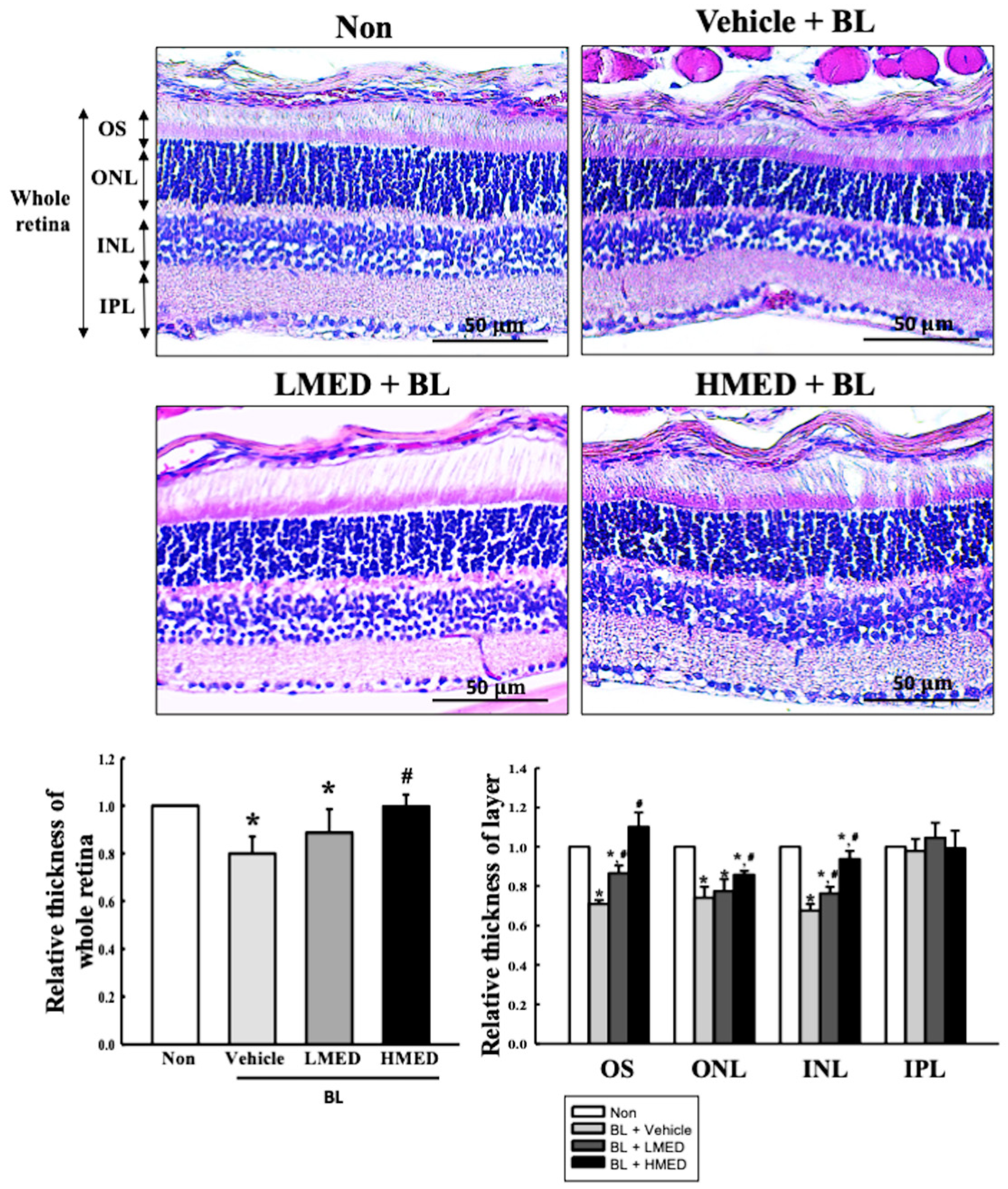 Antioxidants 12 00329 g011