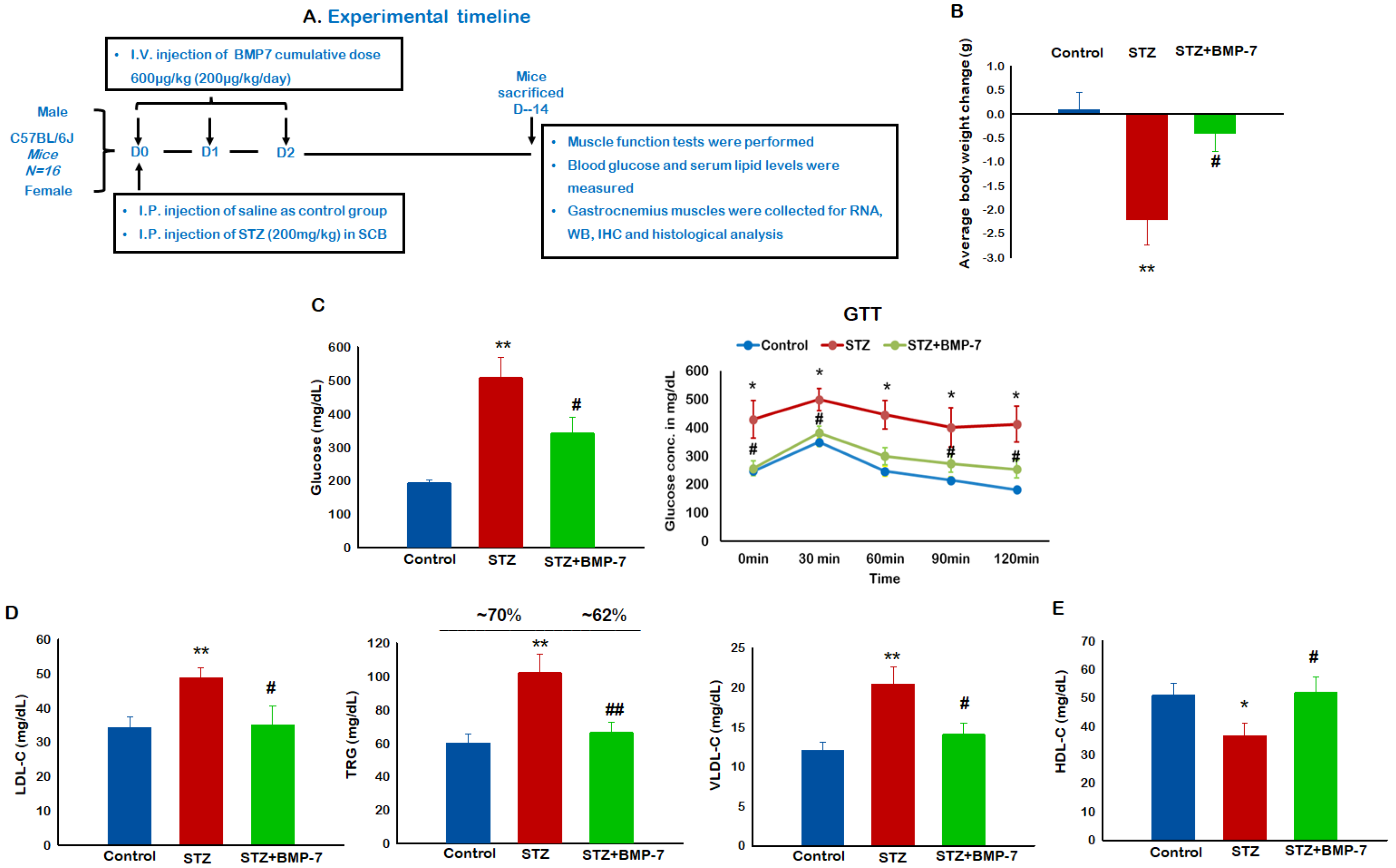 Antioxidants 12 00331 g001 Antioxidants 12 00331 g001