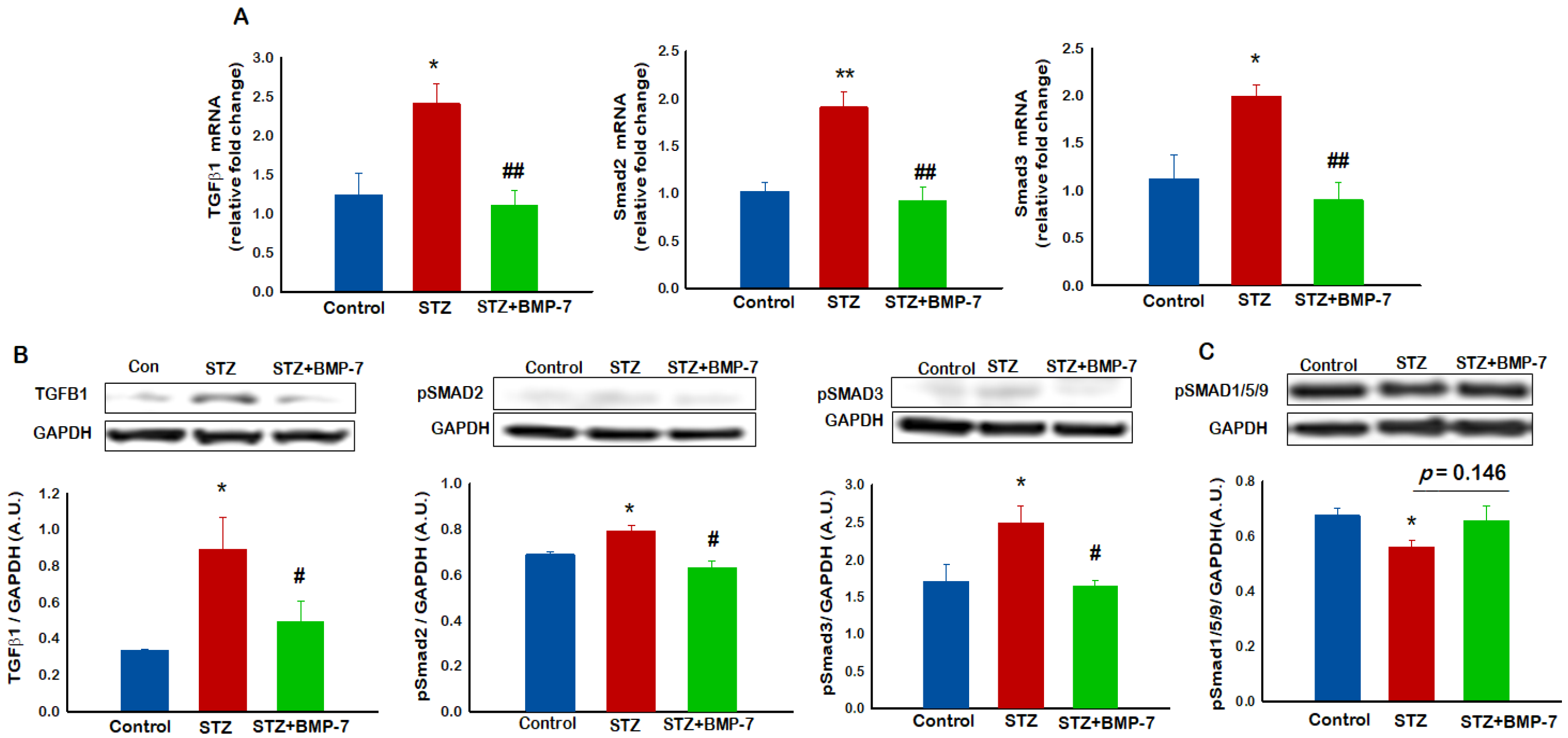 Antioxidants 12 00331 g006 Antioxidants 12 00331 g006