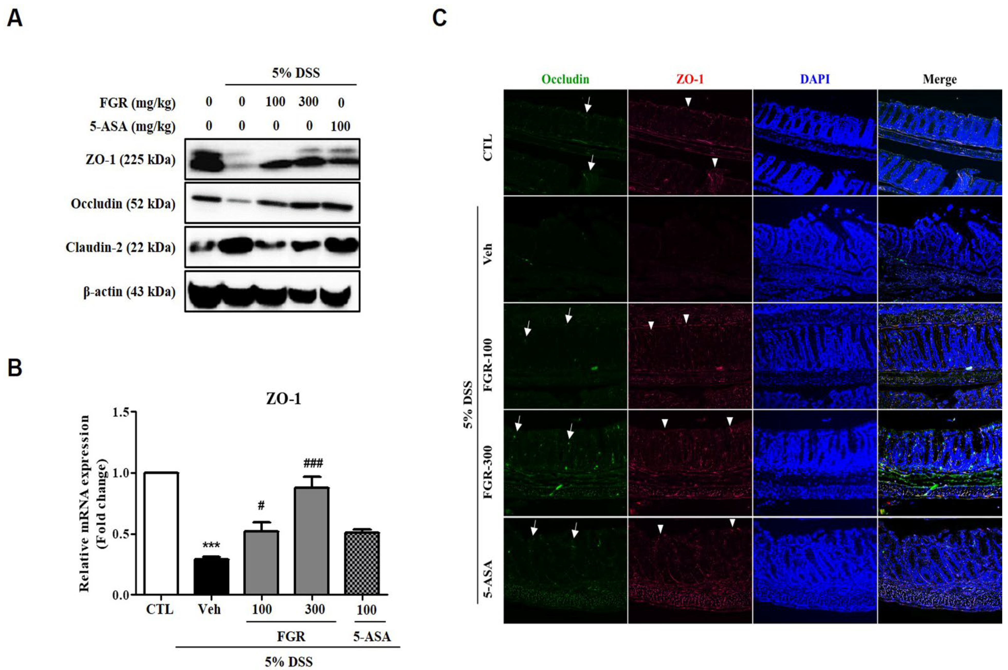 Antioxidants 12 00336 g004 Antioxidants 12 00336 g004