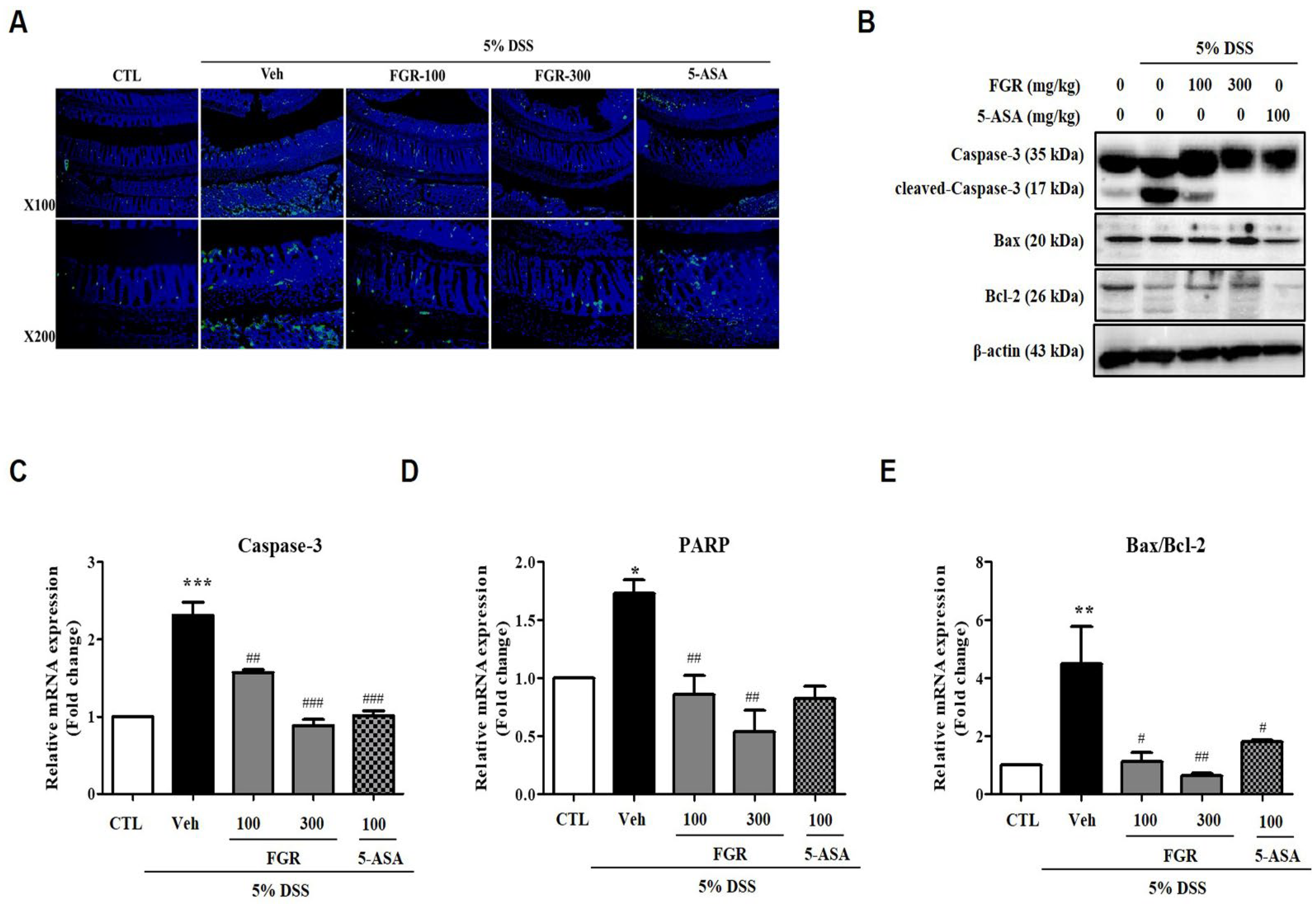 Antioxidants 12 00336 g007 Antioxidants 12 00336 g007