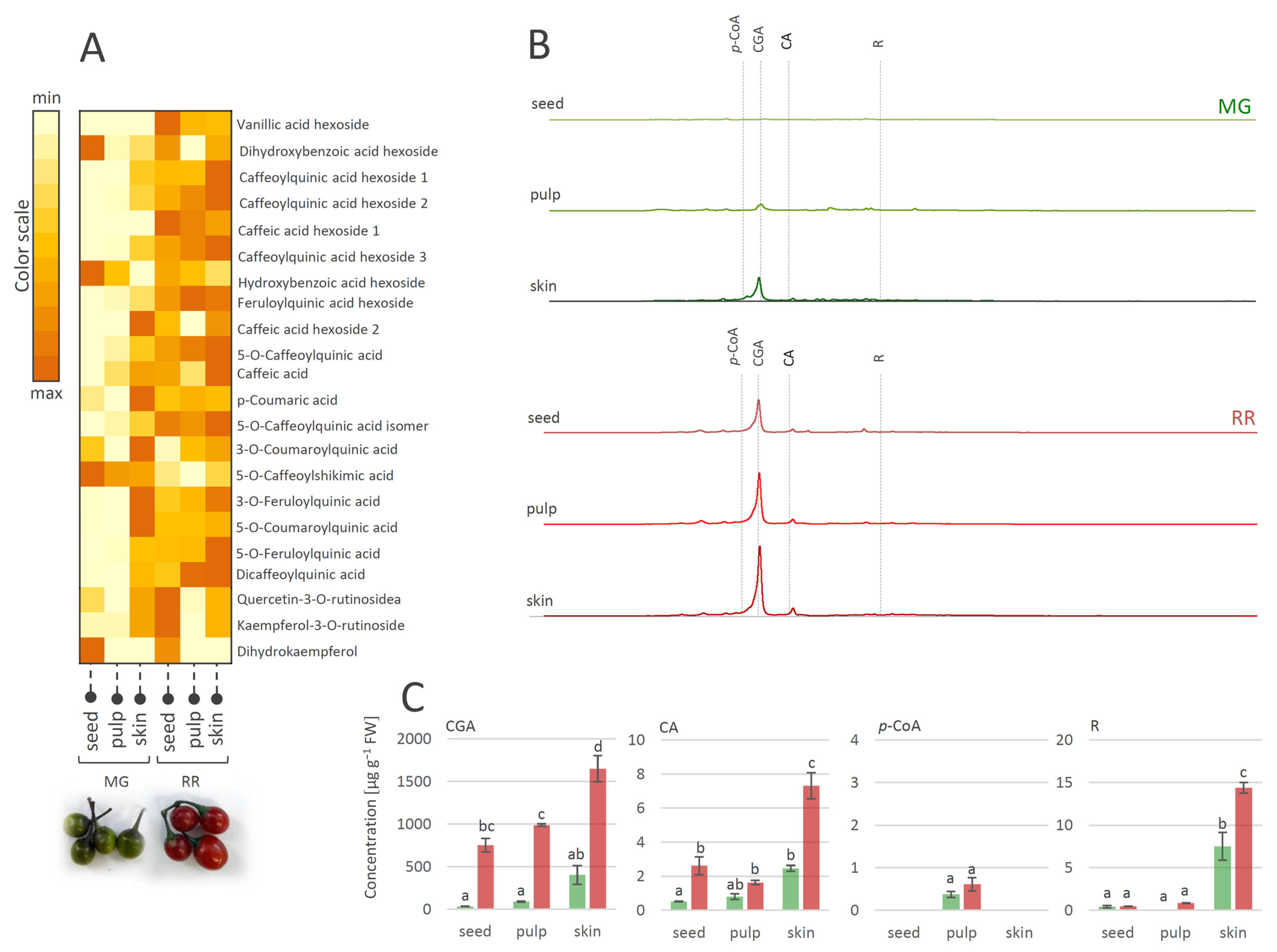 Antioxidants 12 00346 g003 Antioxidants 12 00346 g003