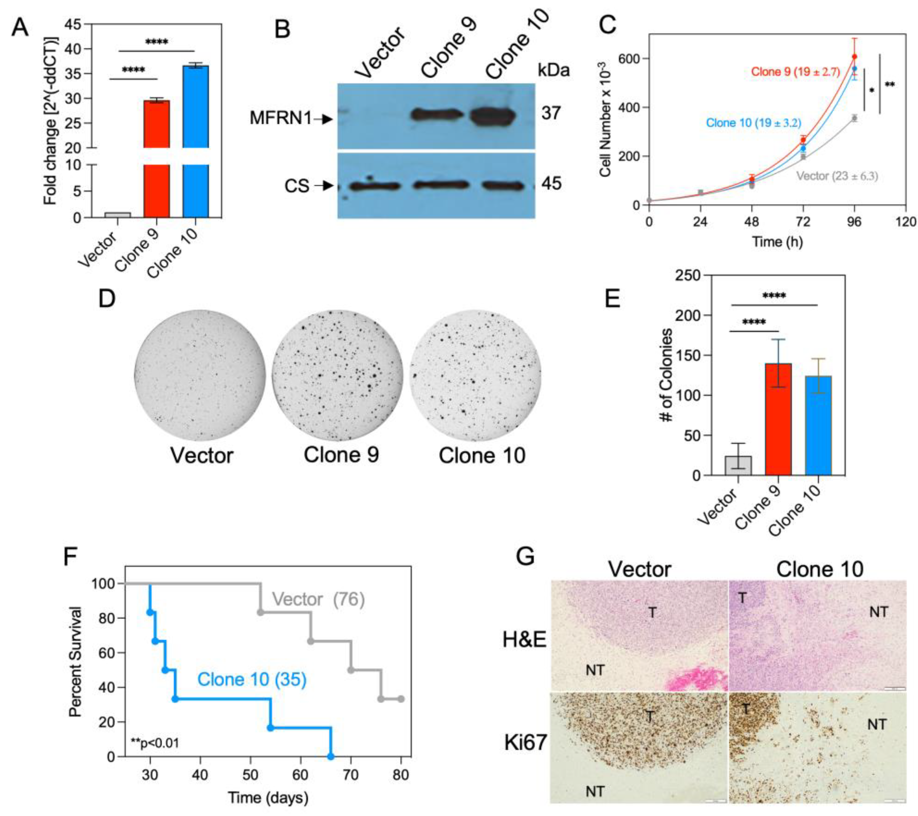 Antioxidants 12 00349 g002