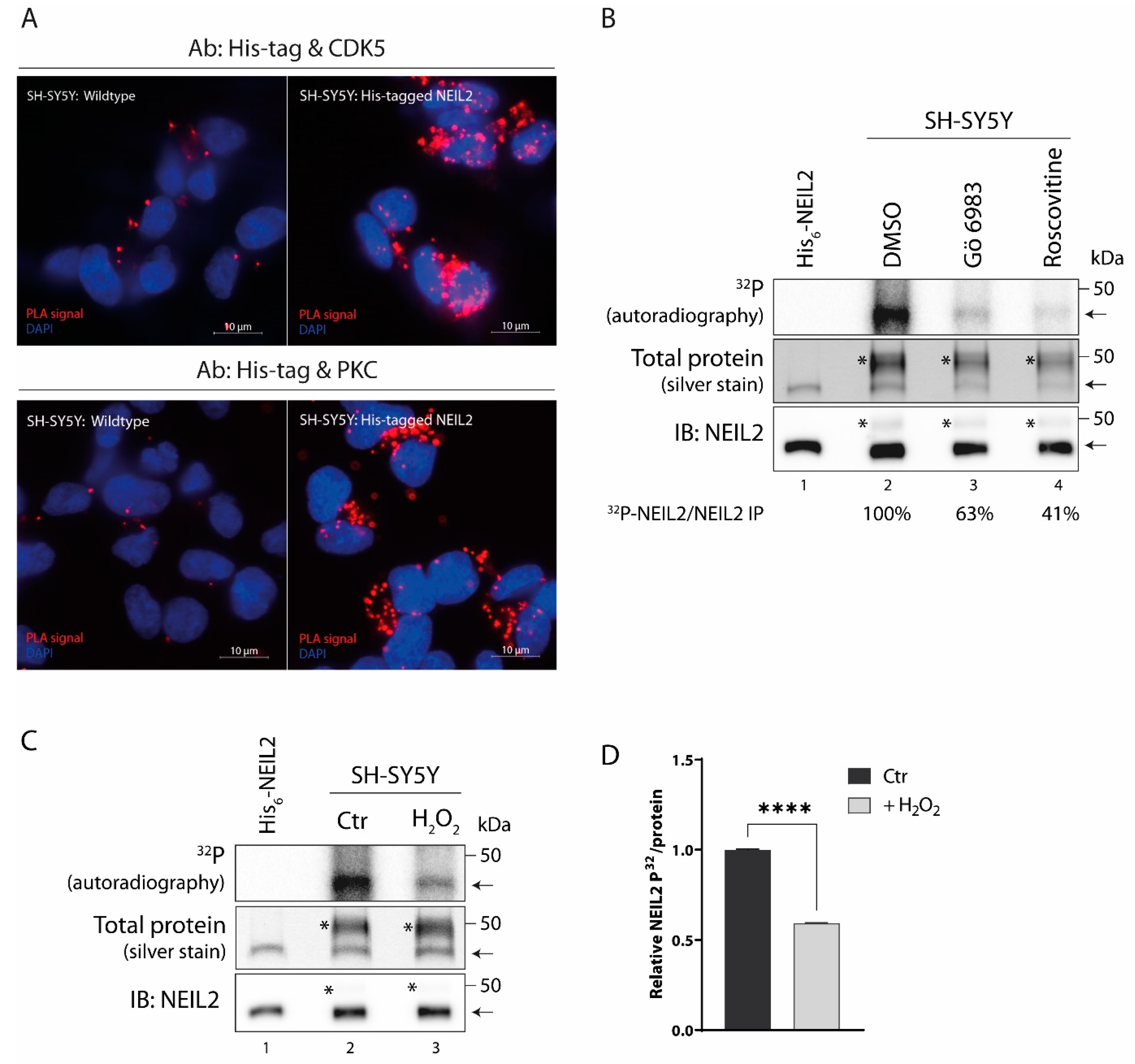 Antioxidants 12 00355 g005