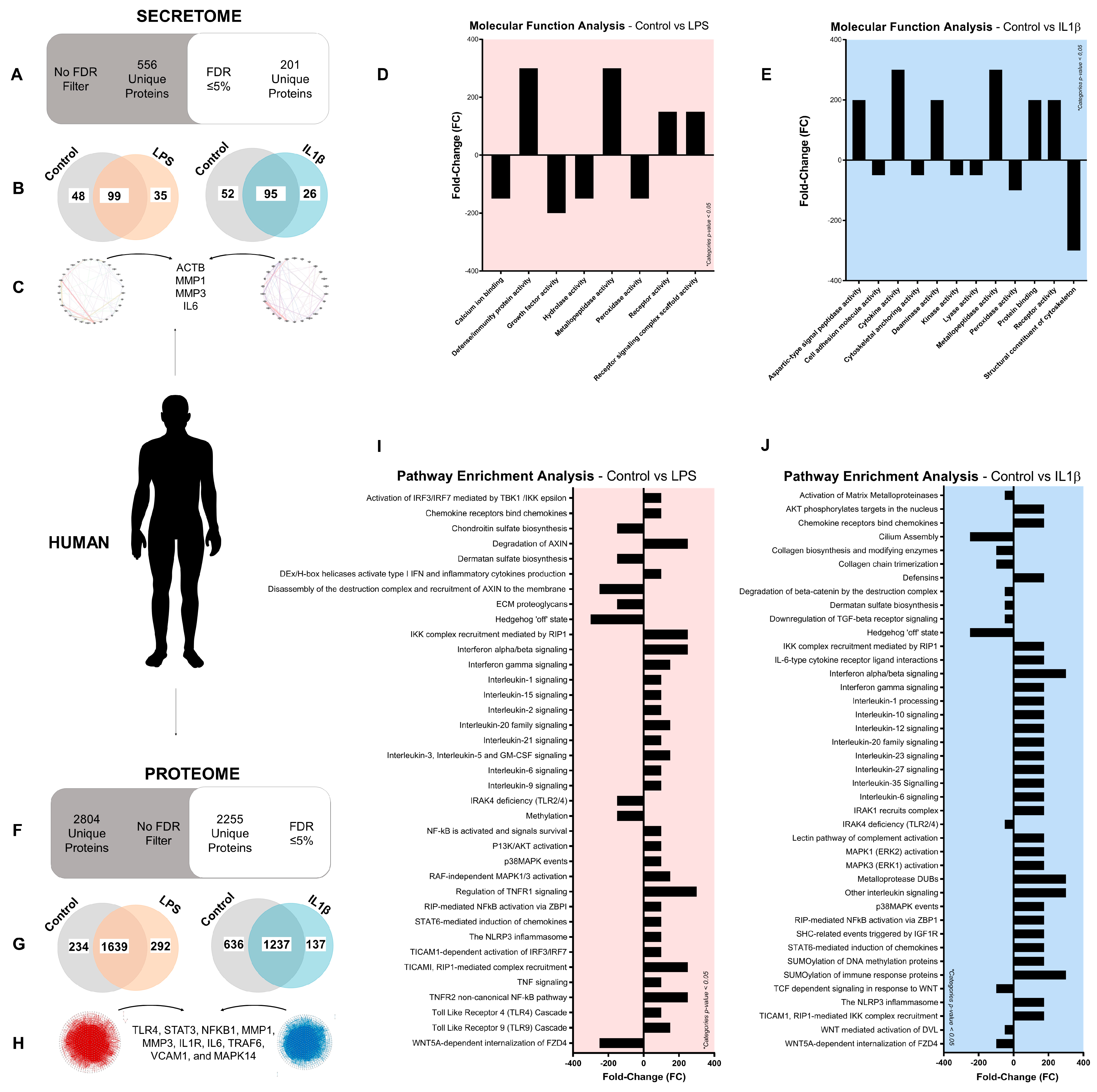 Antioxidants 12 00371 g001 Antioxidants 12 00371 g001