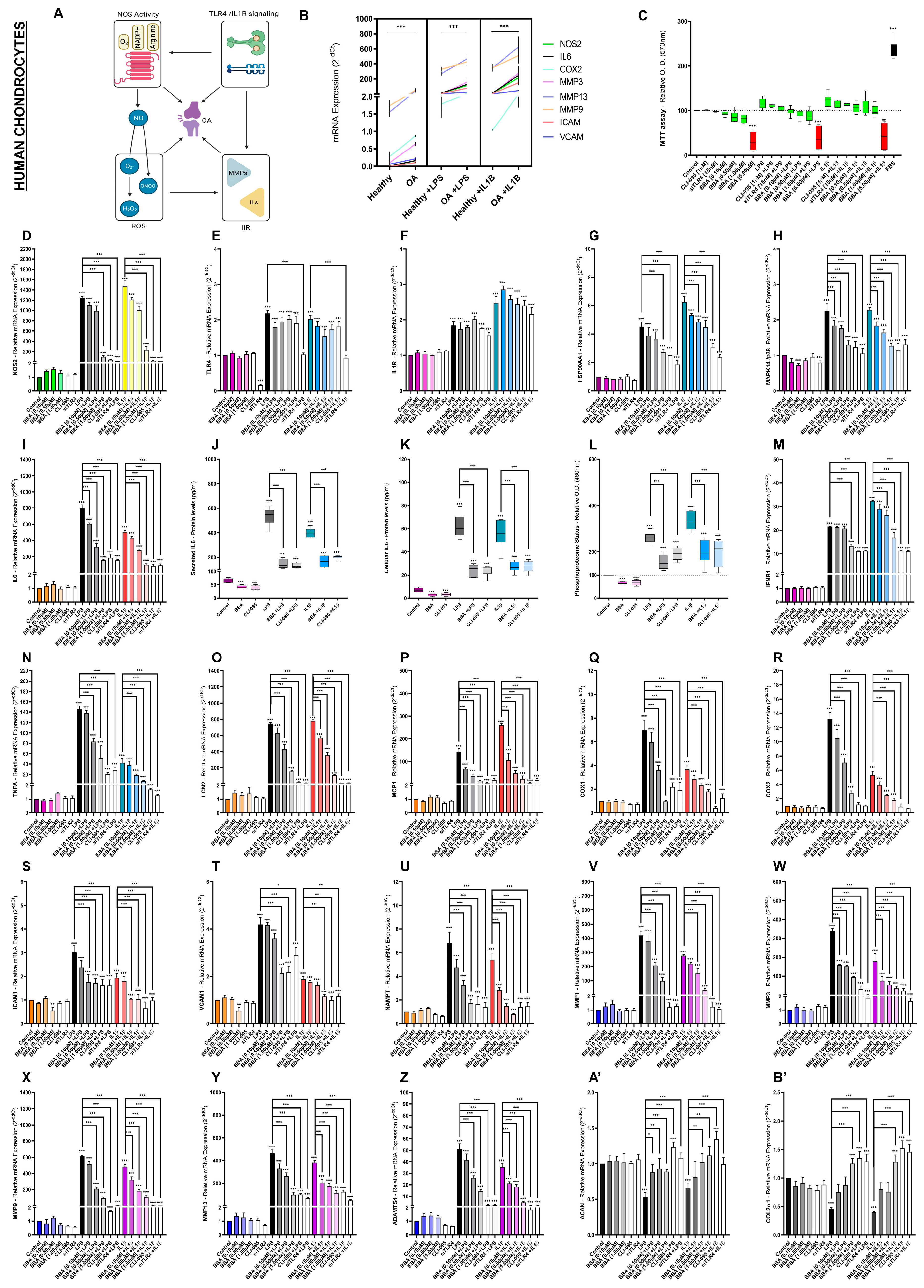 Antioxidants 12 00371 g003 Antioxidants 12 00371 g003