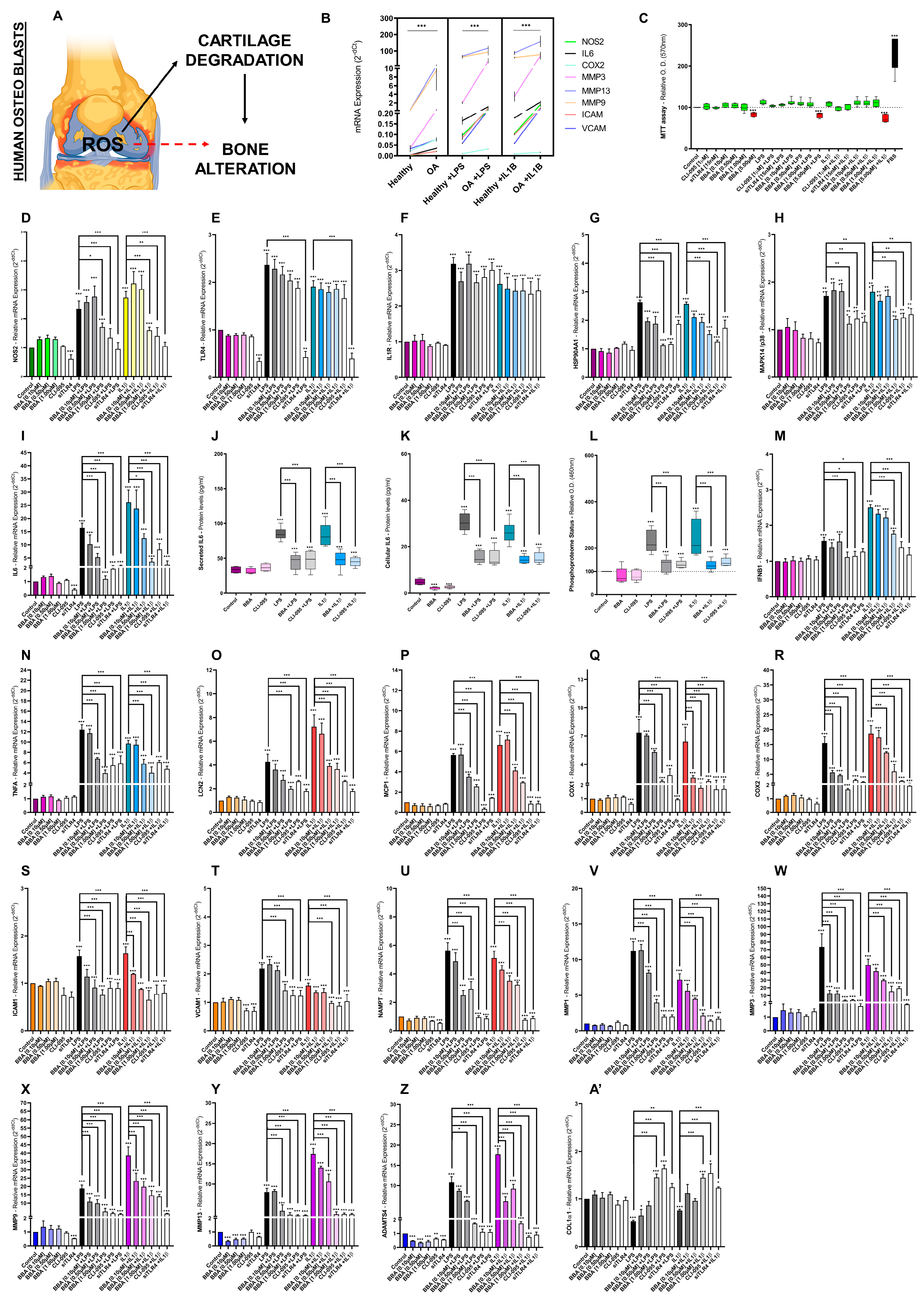 Antioxidants 12 00371 g004 Antioxidants 12 00371 g004