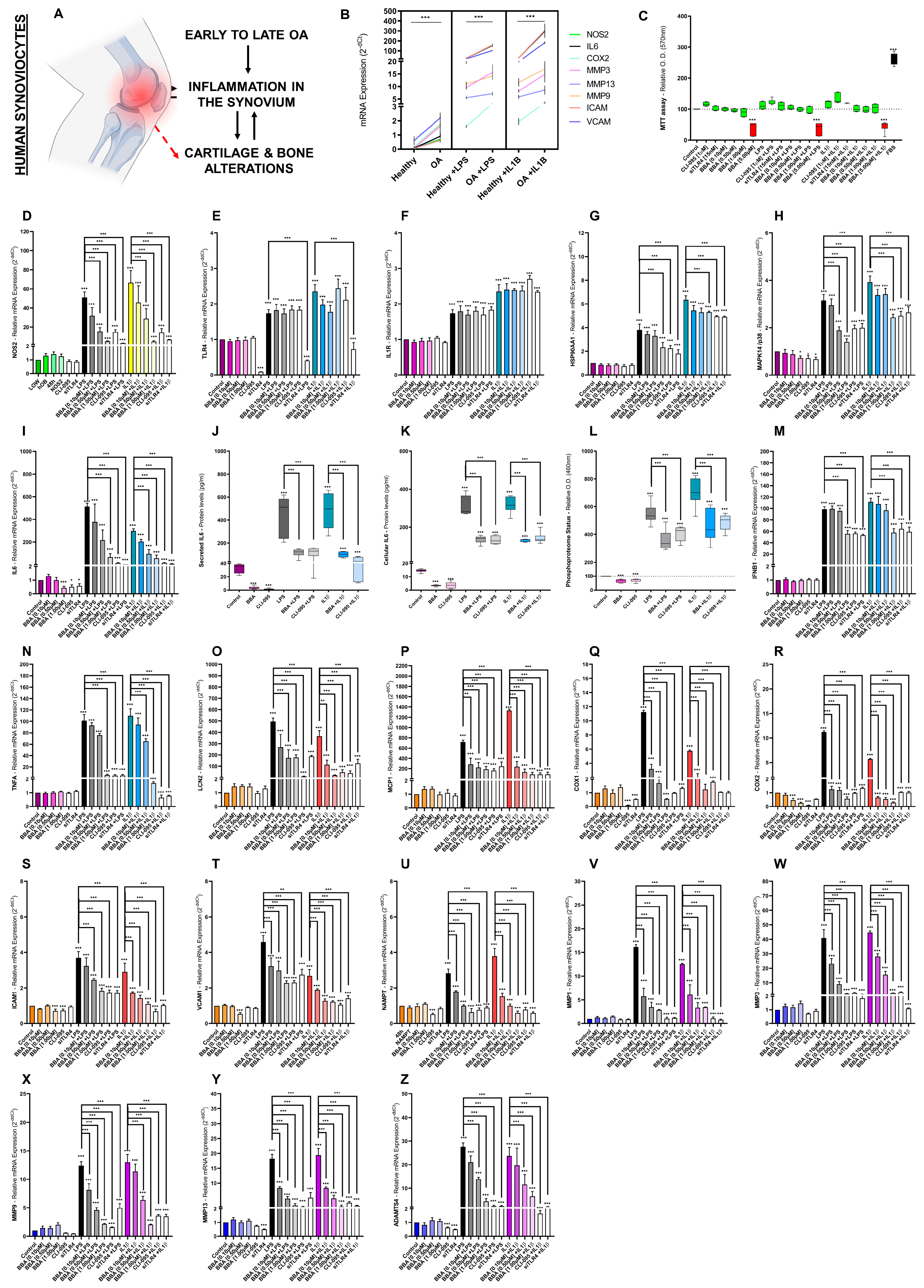 Antioxidants 12 00371 g005 Antioxidants 12 00371 g005