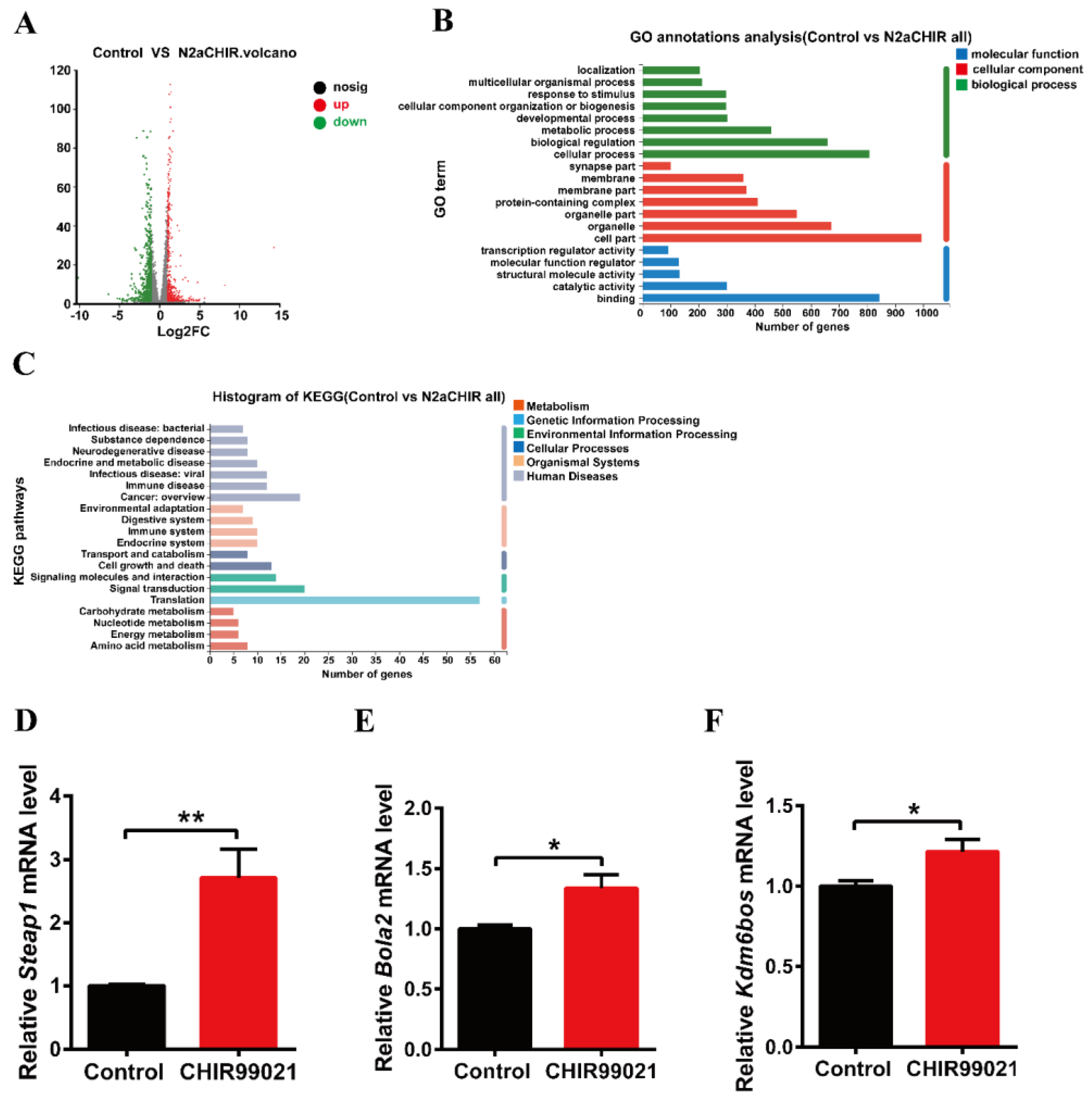 Antioxidants 12 00377 g004 Antioxidants 12 00377 g004