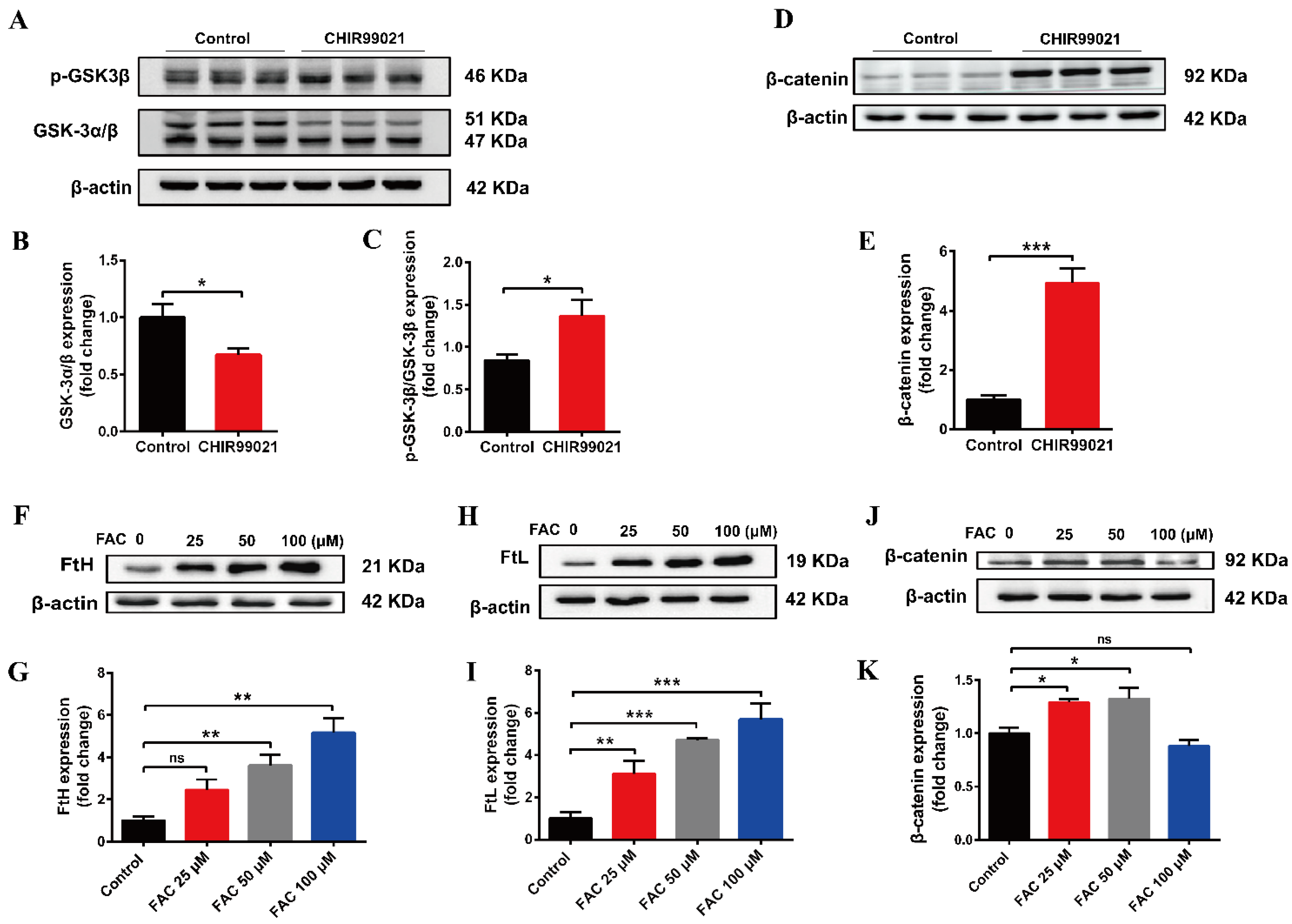 Antioxidants 12 00377 g005 Antioxidants 12 00377 g005