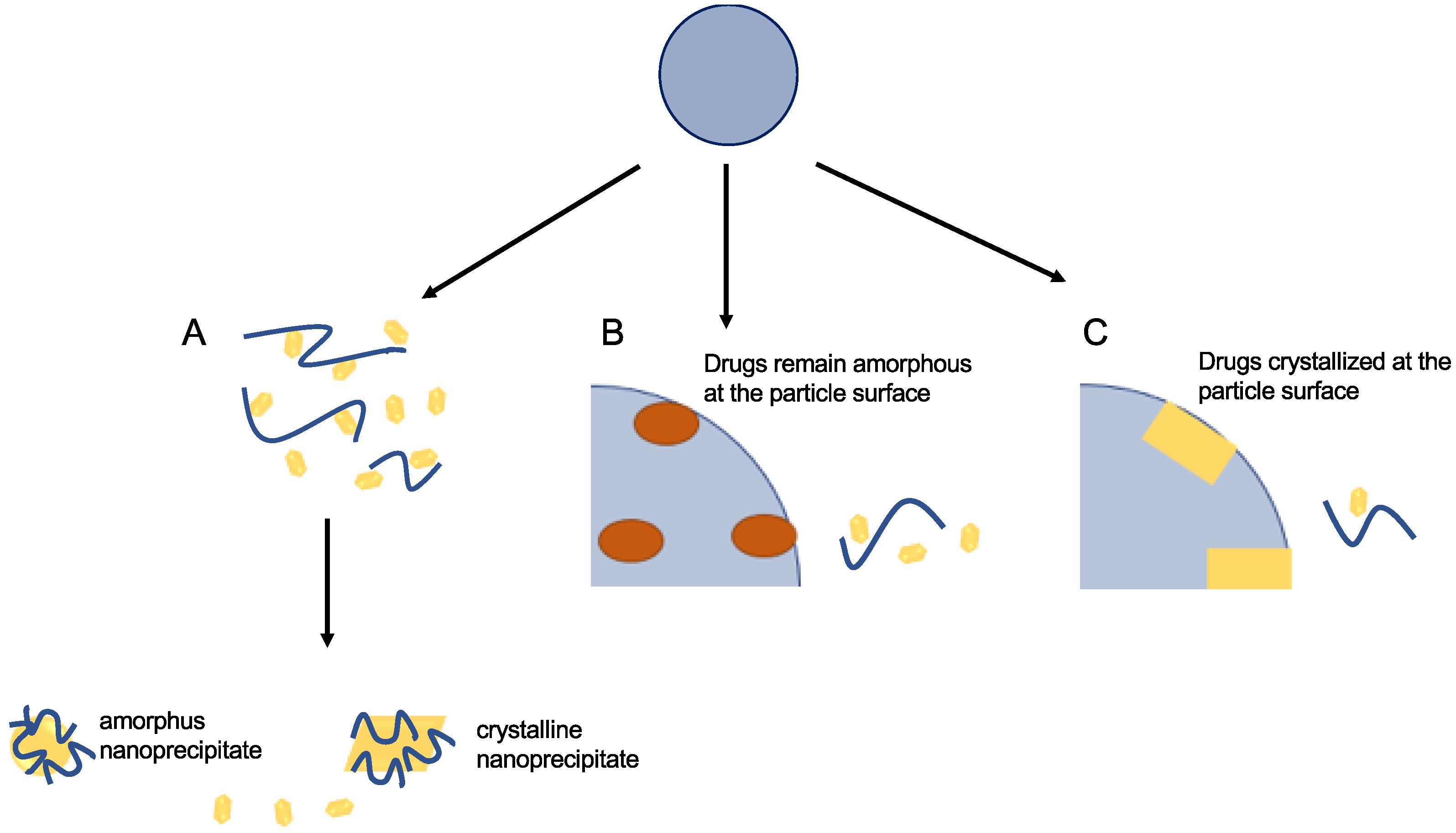 Antioxidants 12 00378 g008