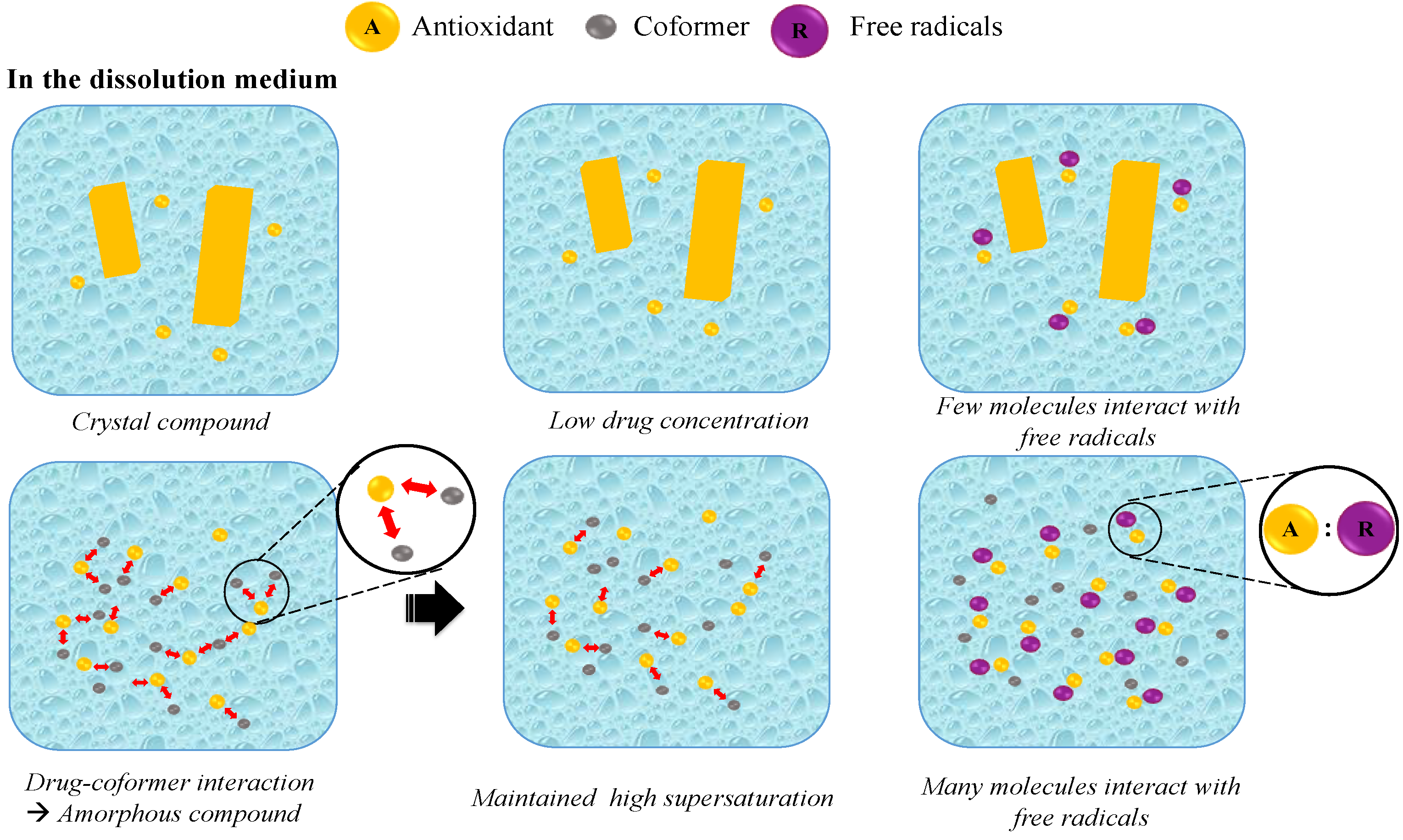 Antioxidants 12 00378 g010