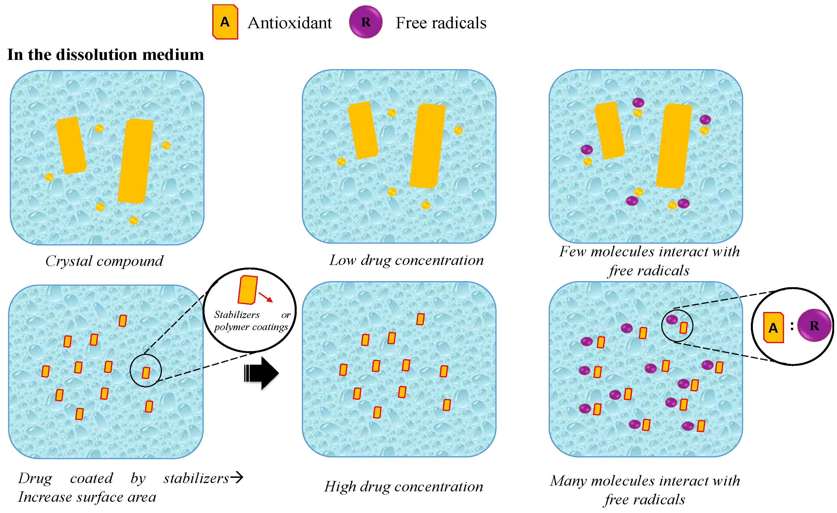 Antioxidants 12 00378 g011