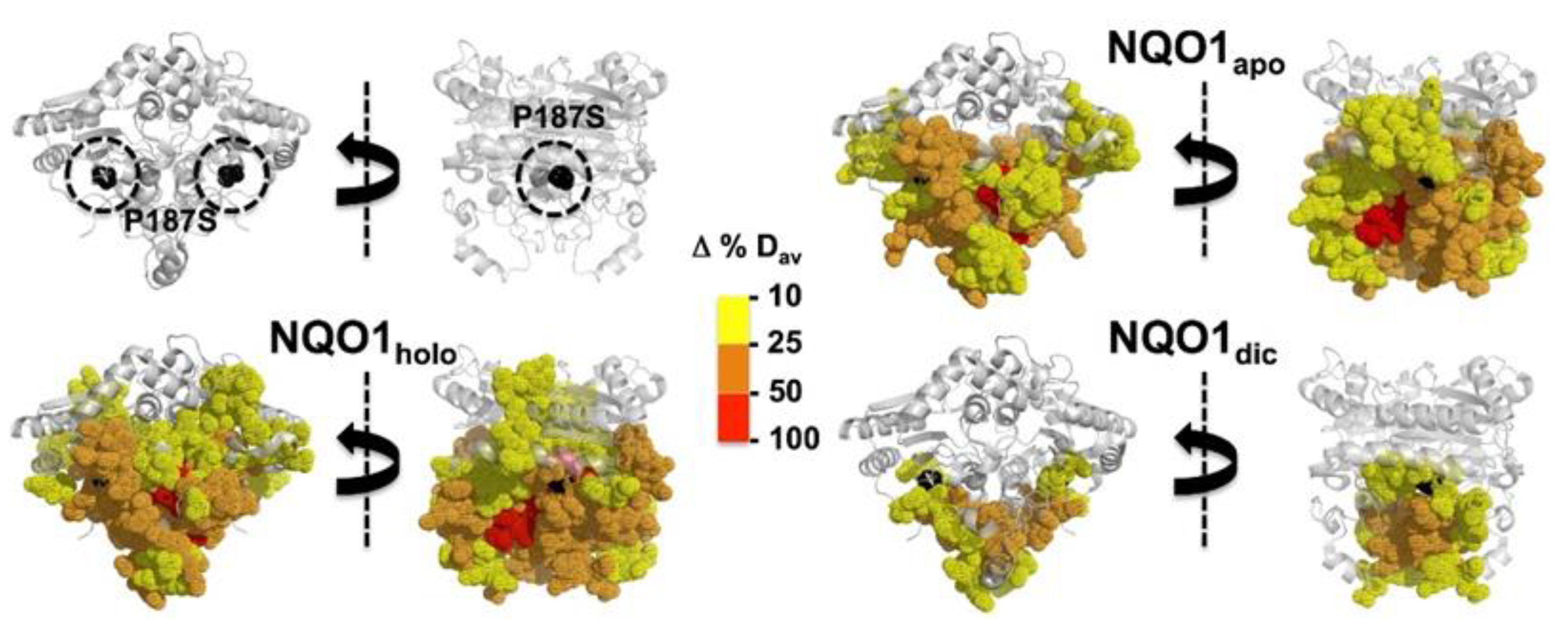 Antioxidants 12 00379 g006