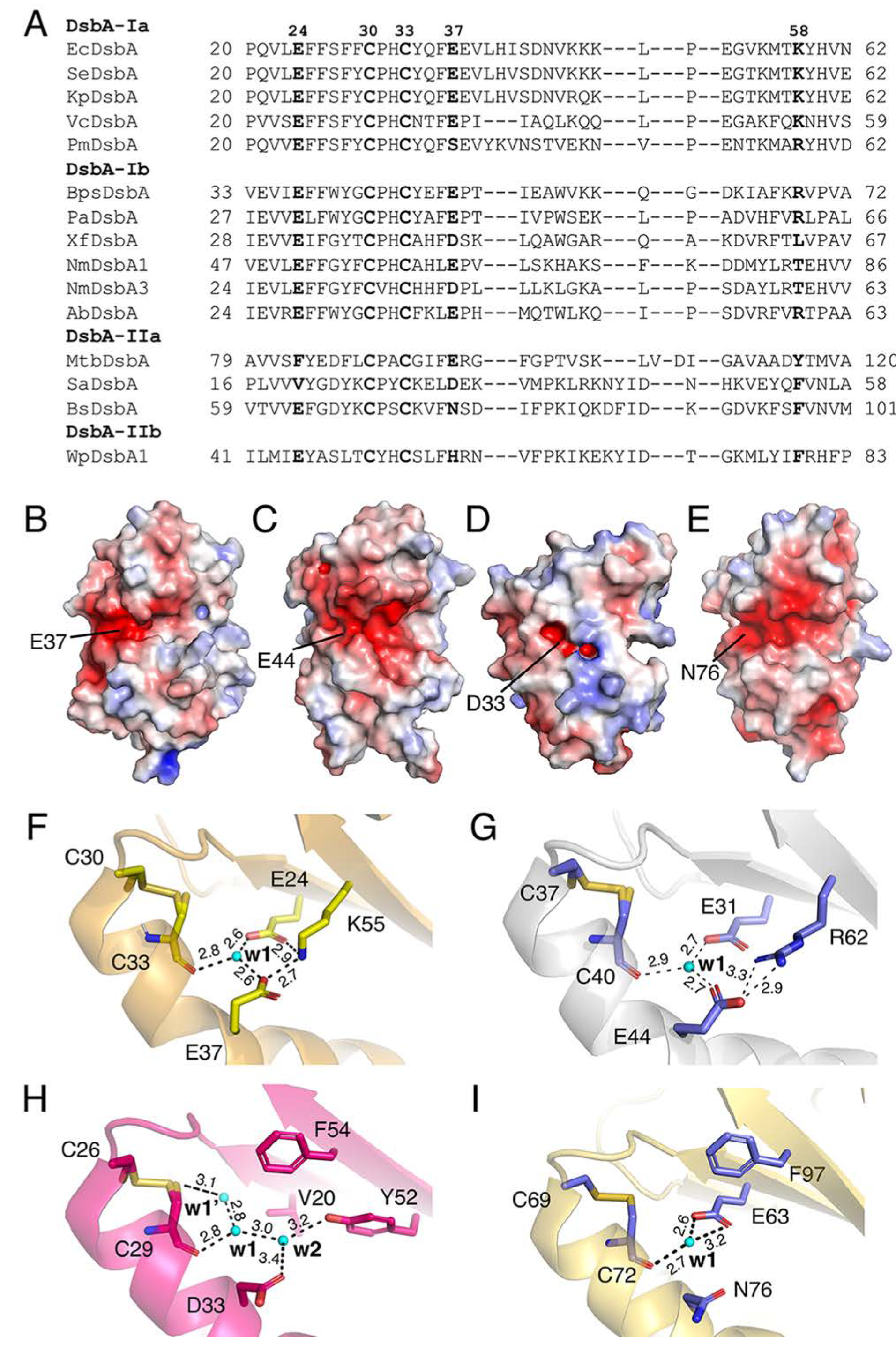 Antioxidants 12 00380 g002 Antioxidants 12 00380 g002