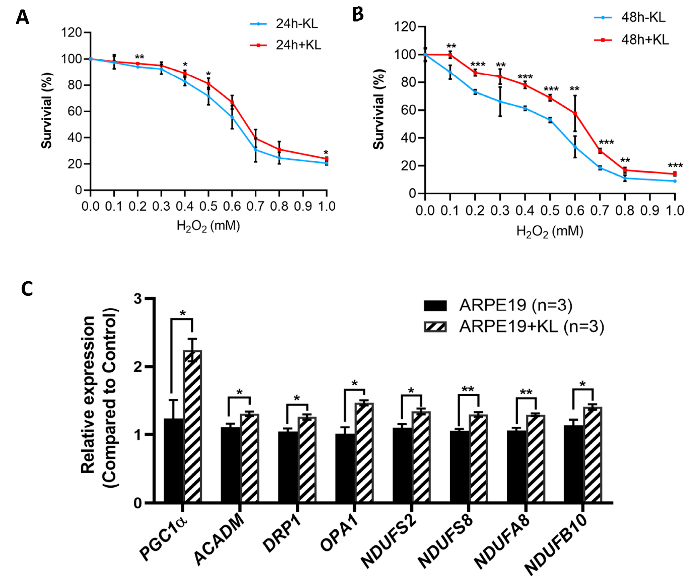 Antioxidants 12 00385 g001 Antioxidants 12 00385 g001