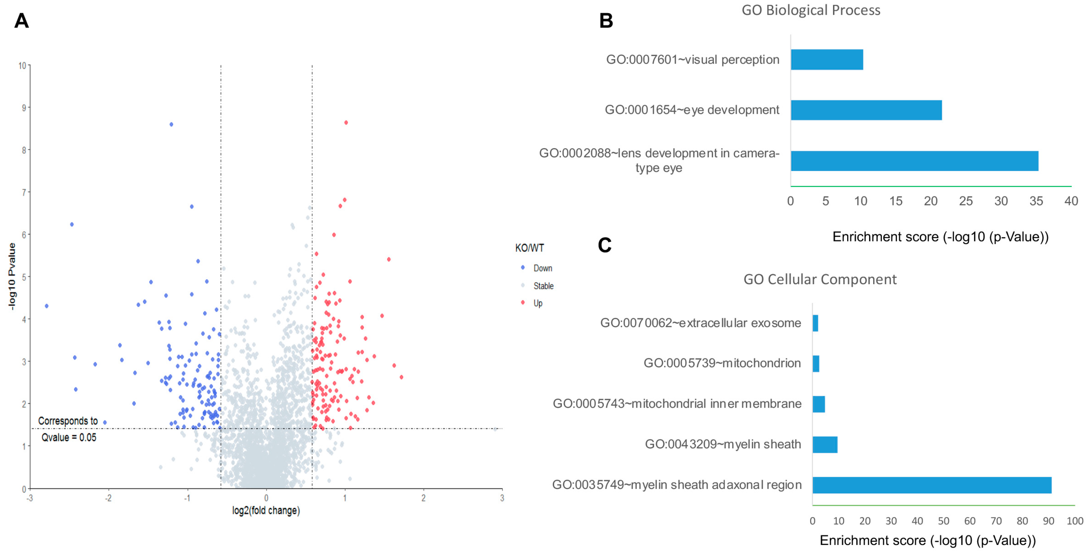 Antioxidants 12 00385 g003 Antioxidants 12 00385 g003