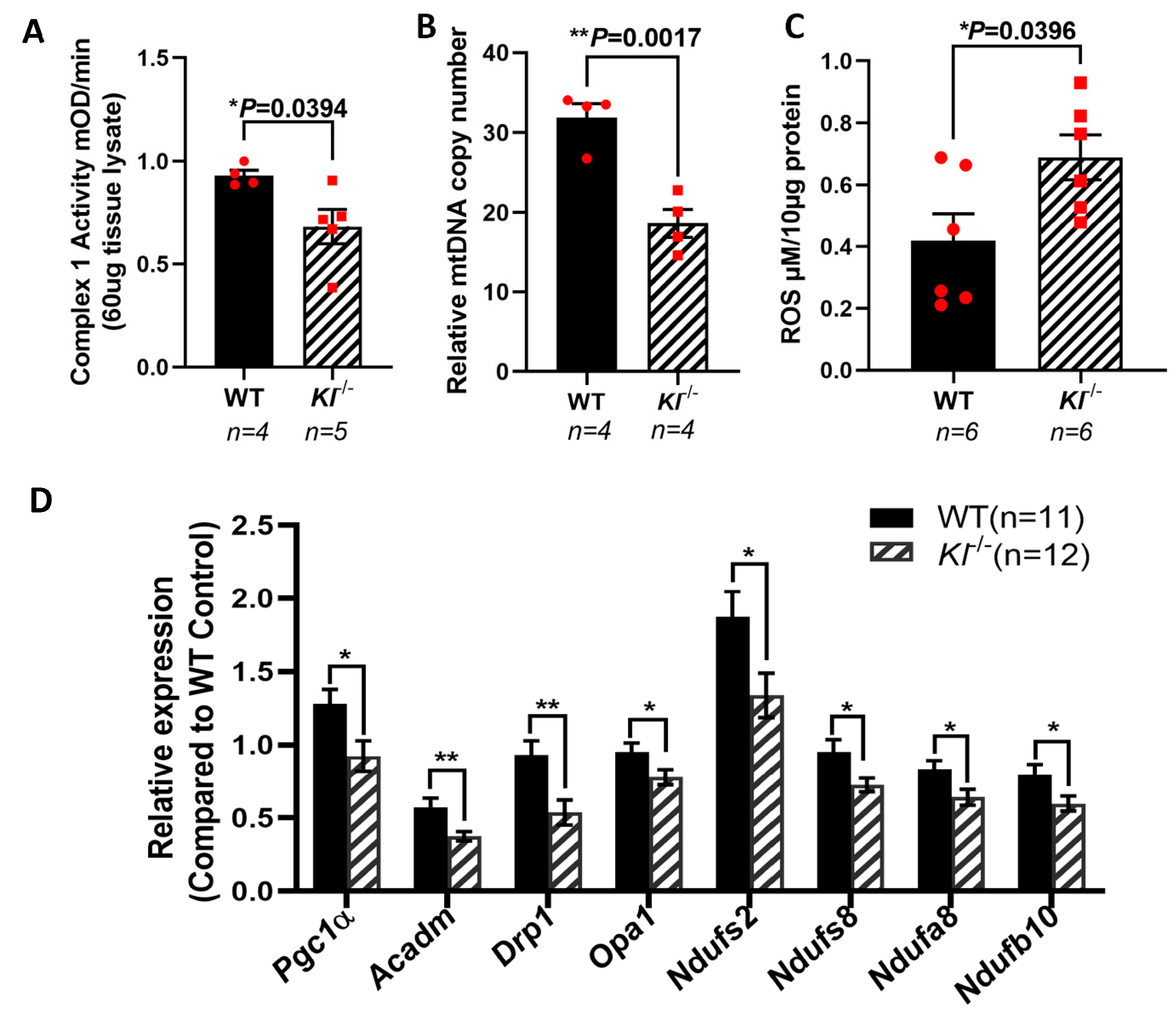 Antioxidants 12 00385 g005 Antioxidants 12 00385 g005