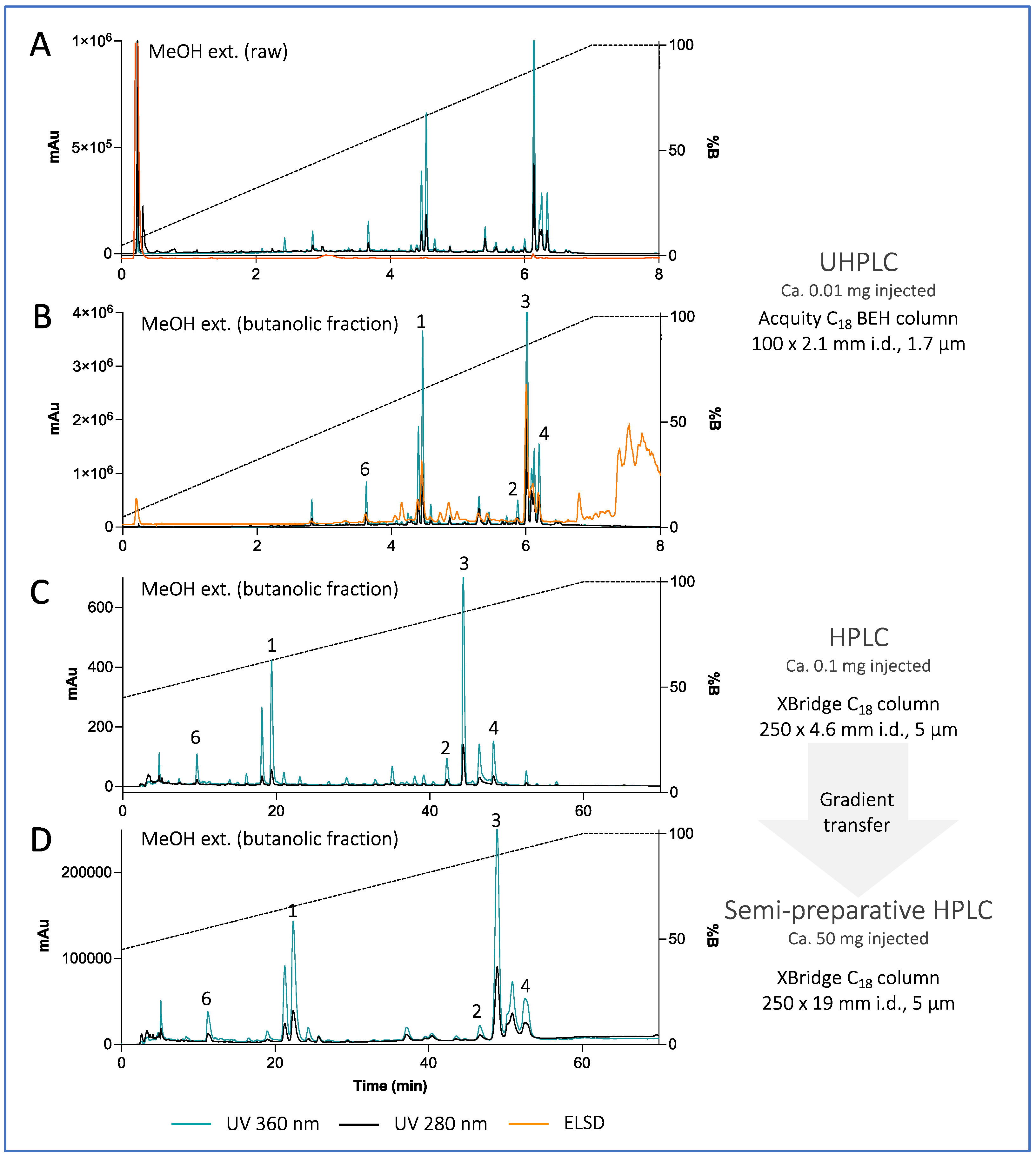 Antioxidants 12 00386 g003