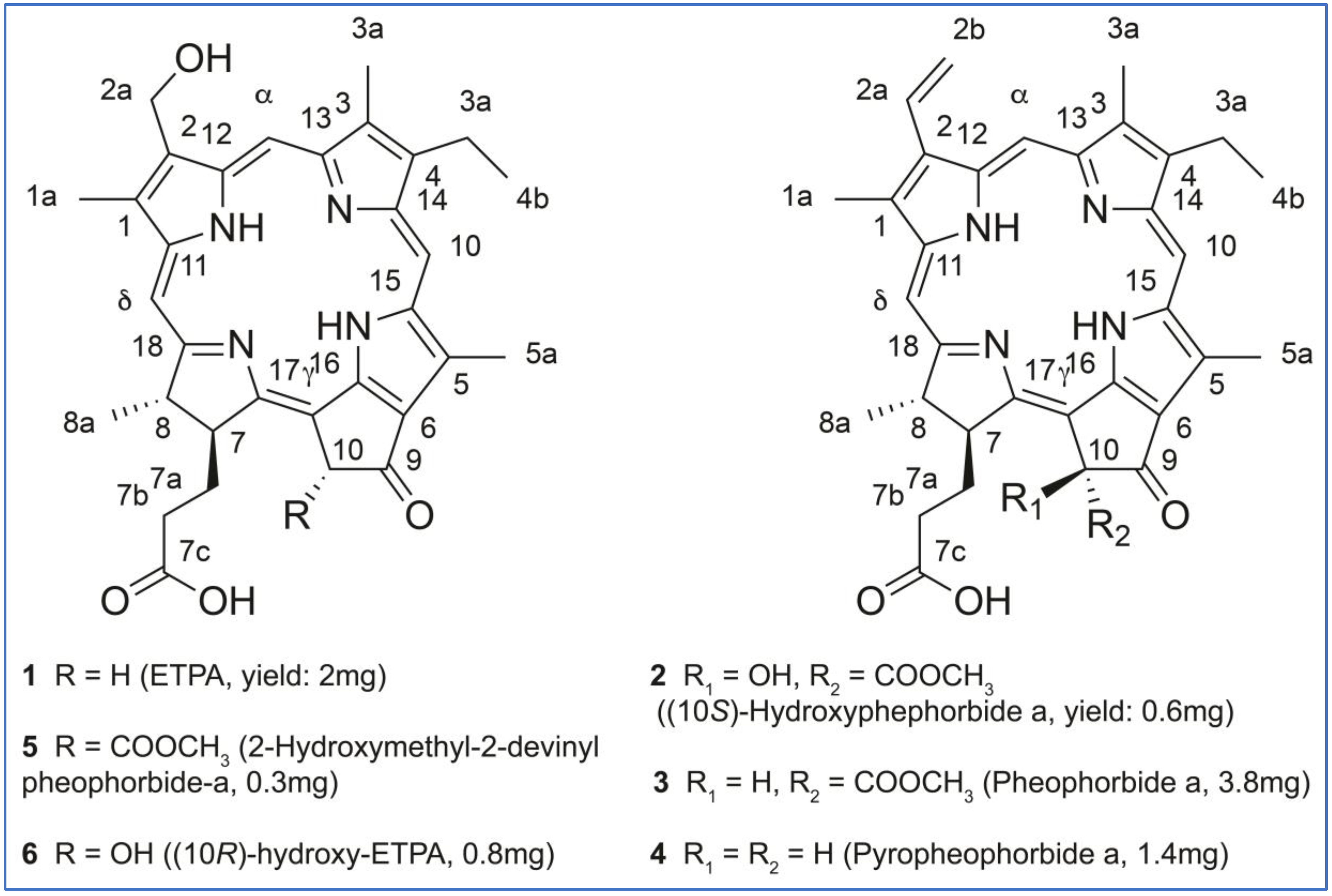 Antioxidants 12 00386 g004