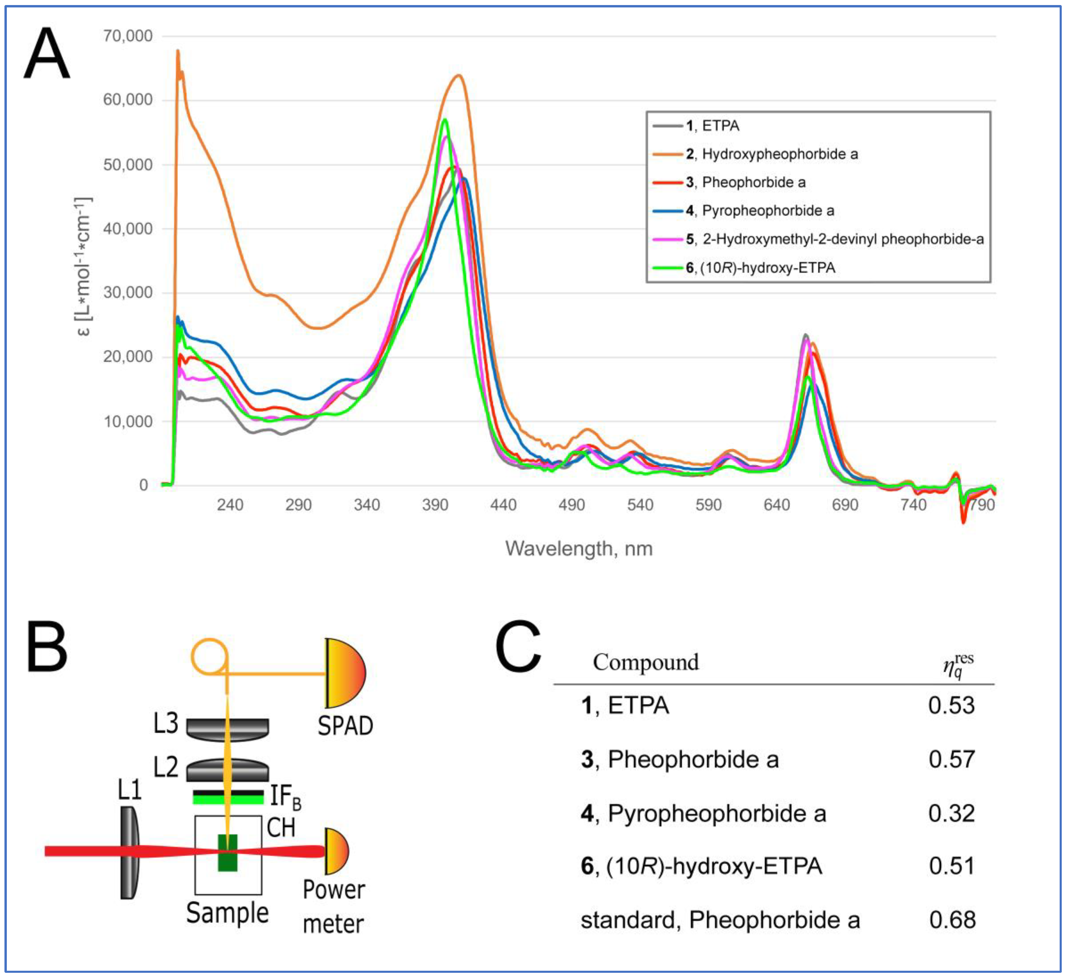 Antioxidants 12 00386 g005