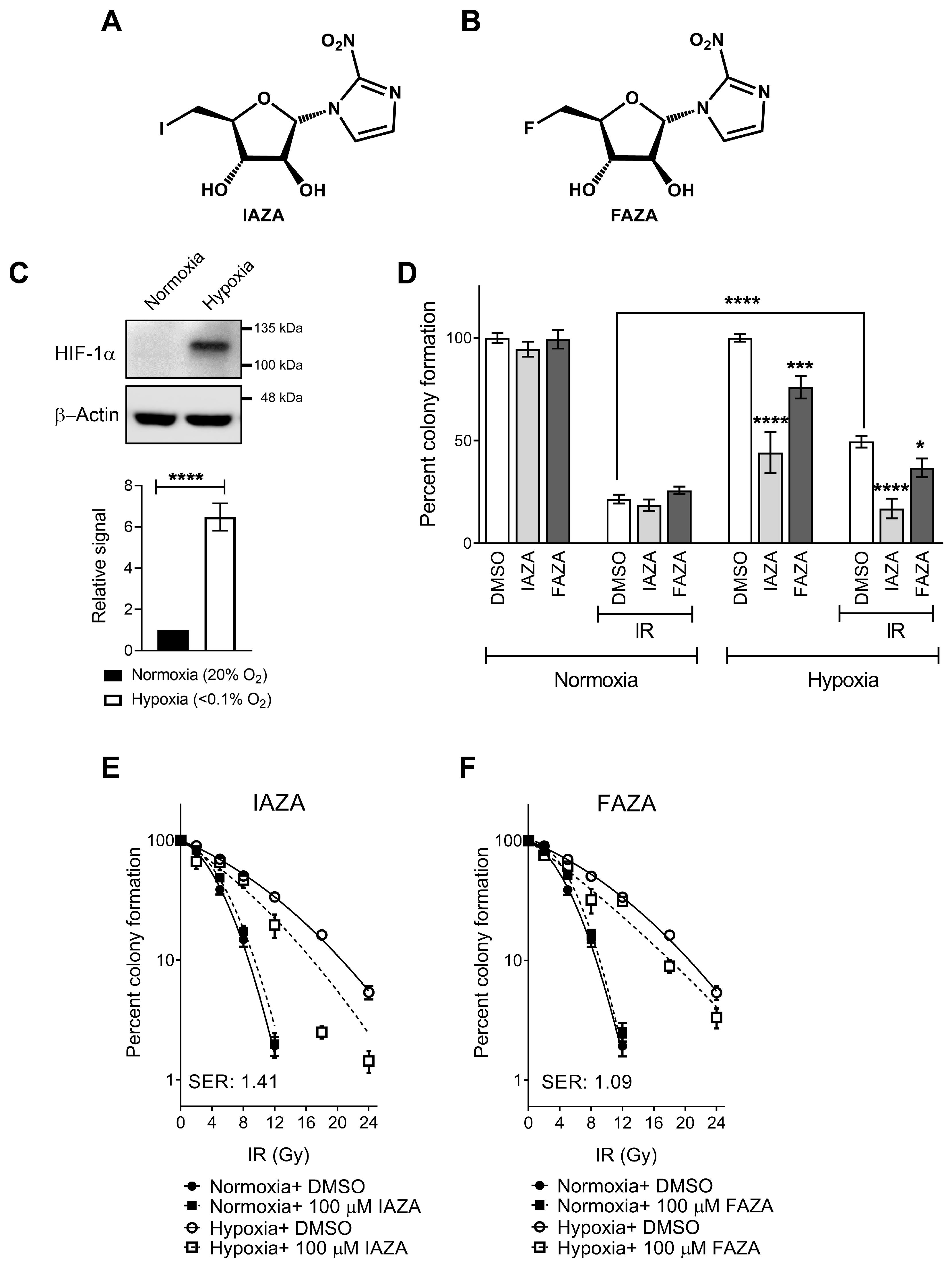Antioxidants 12 00389 g001