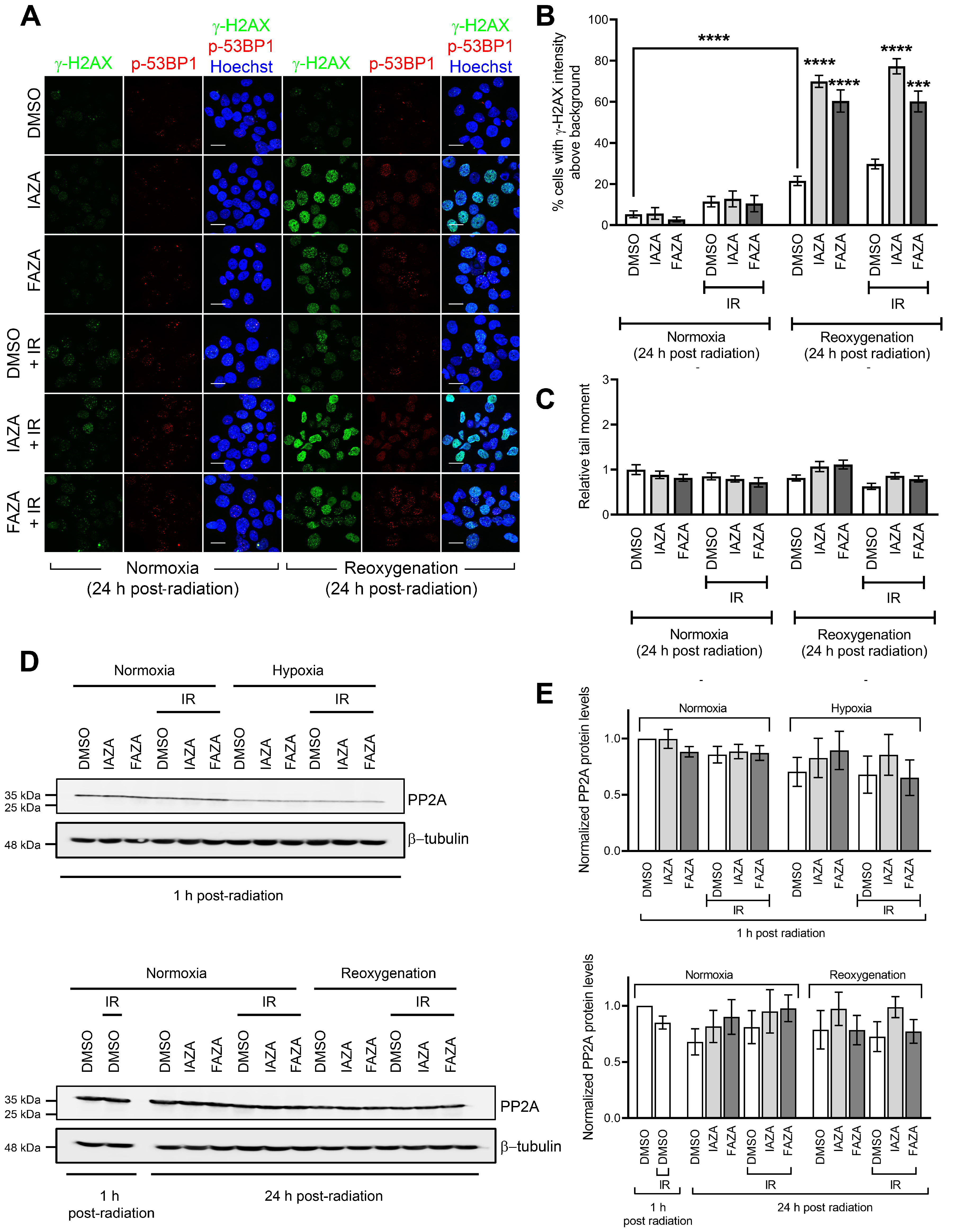 Antioxidants 12 00389 g003