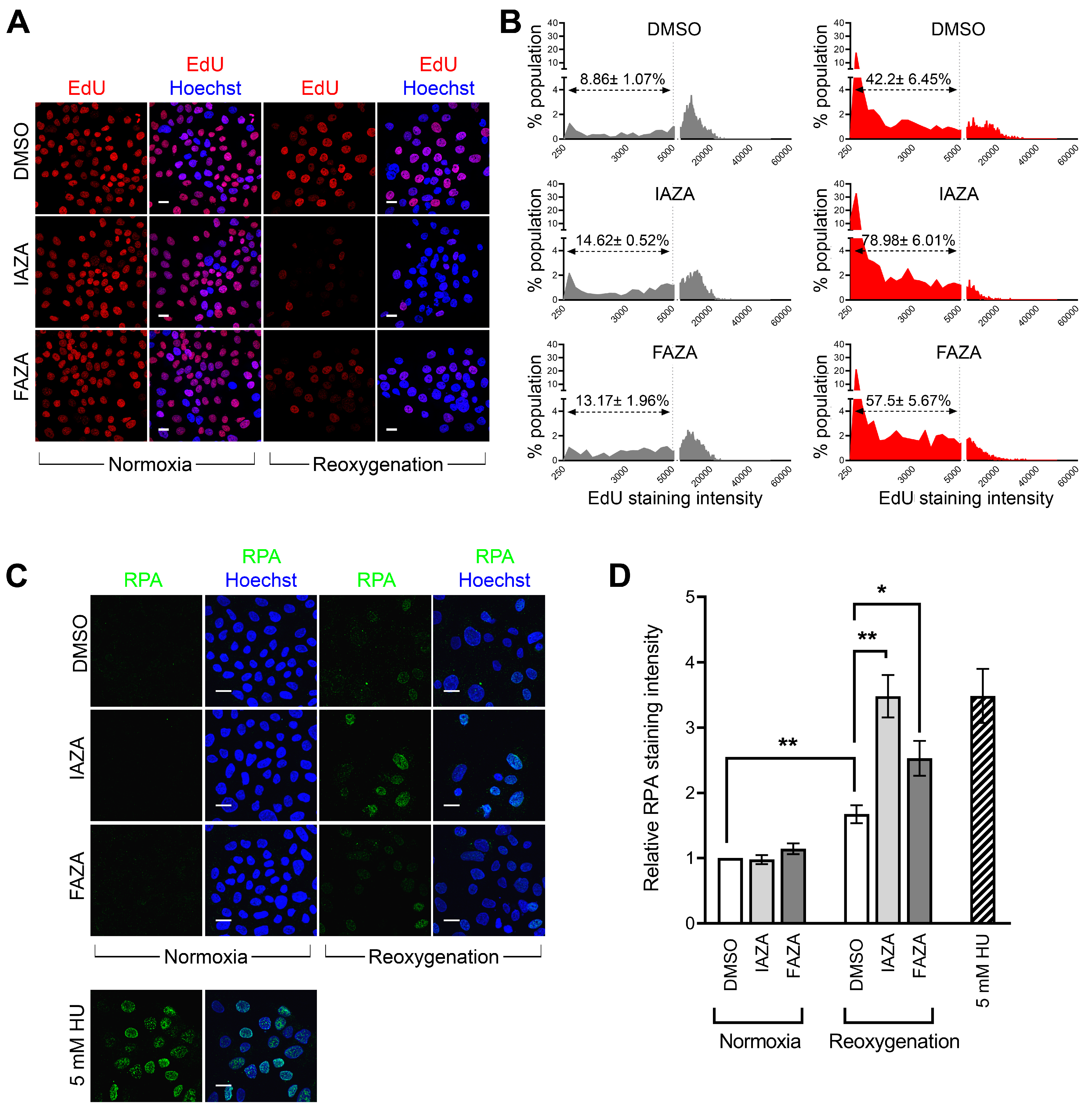 Antioxidants 12 00389 g004
