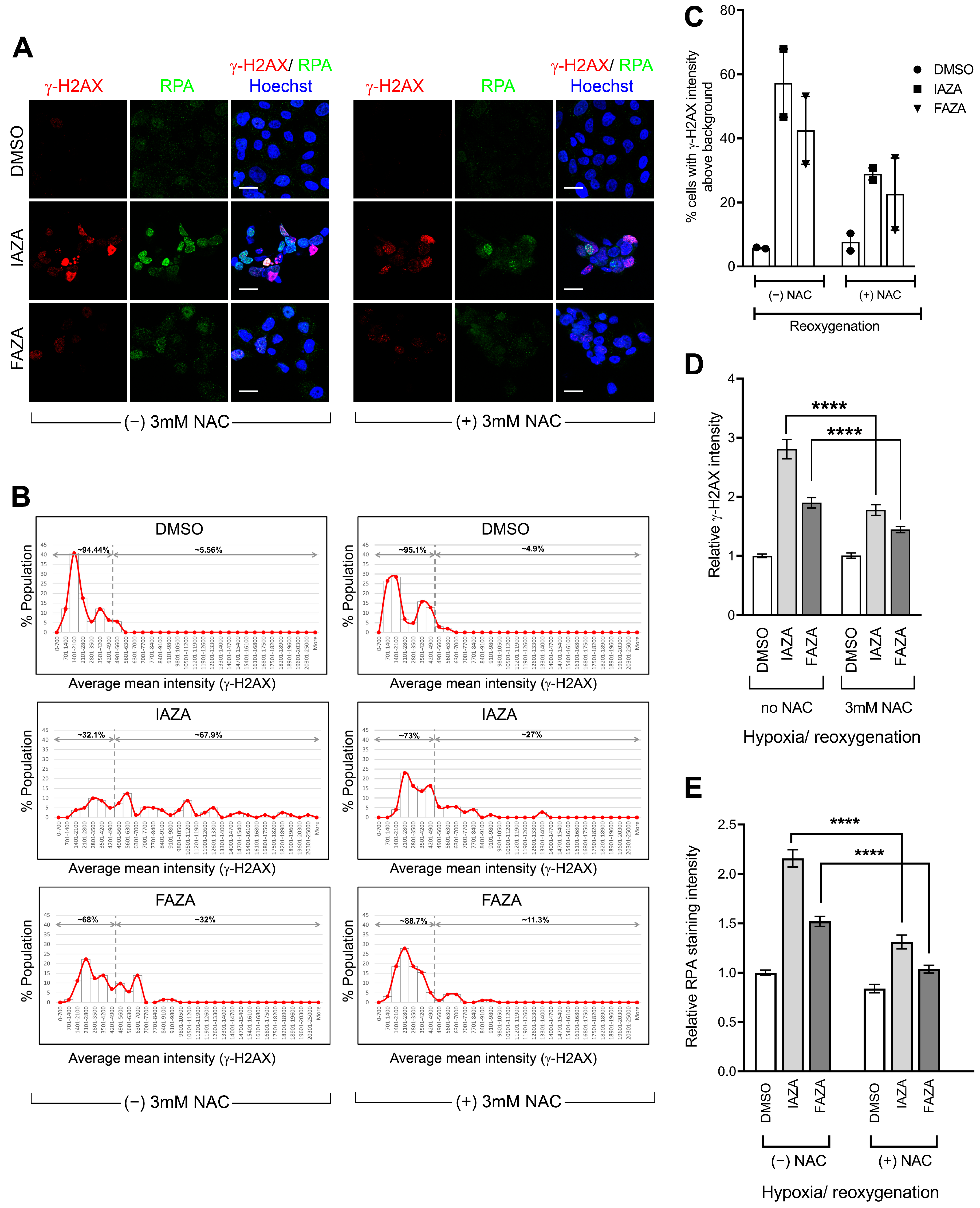 Antioxidants 12 00389 g005