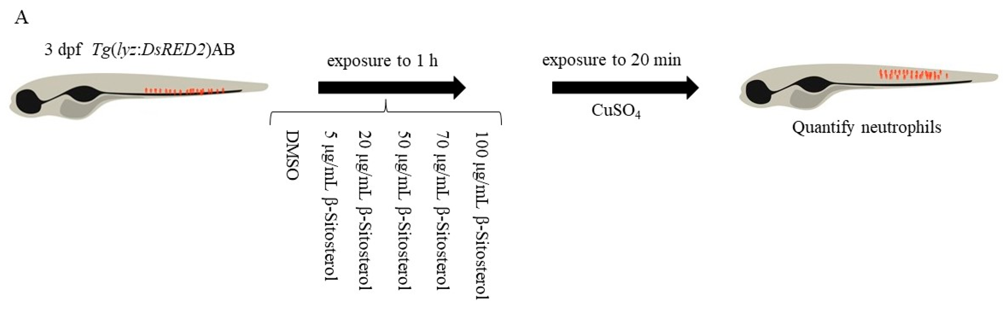 Antioxidants 12 00391 g005a Antioxidants 12 00391 g005a